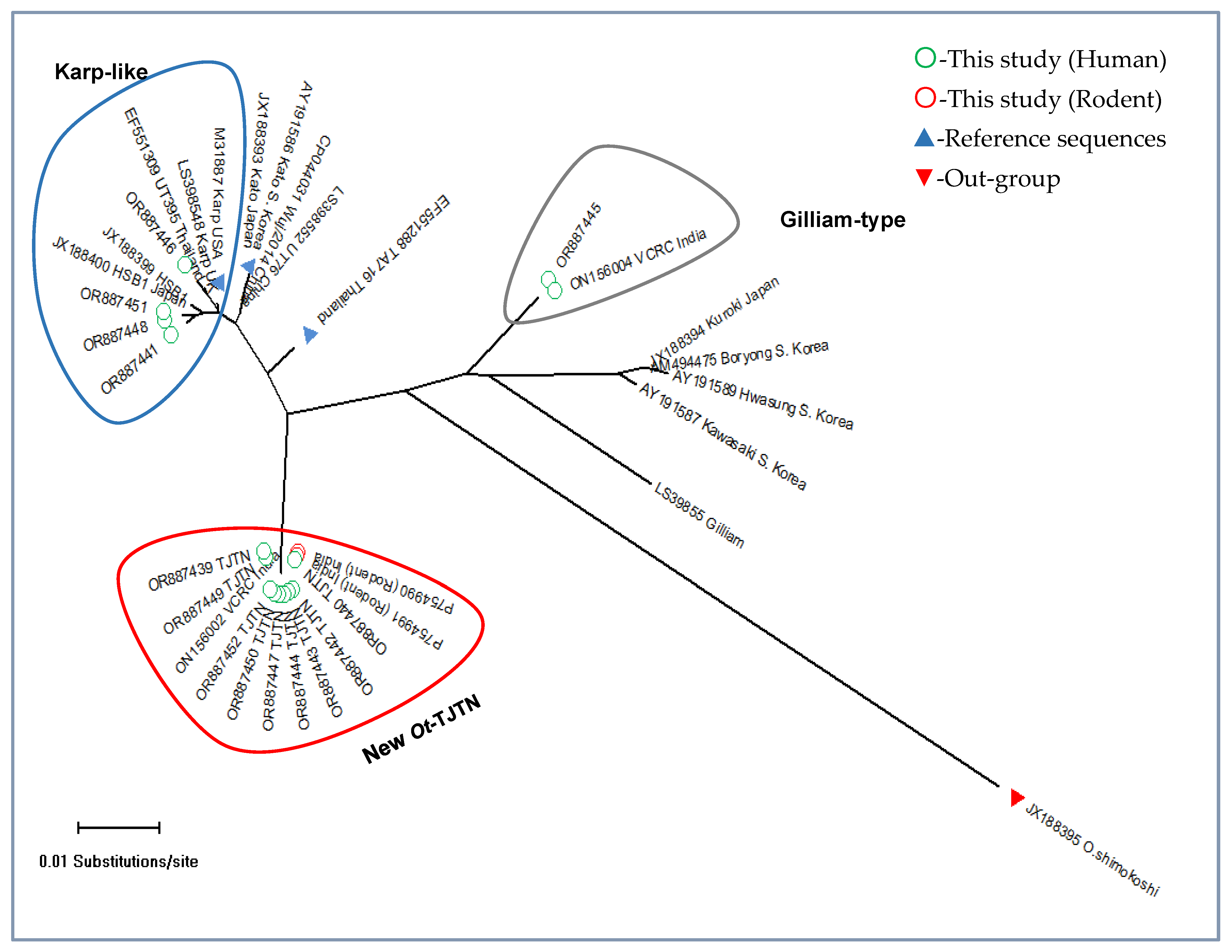 Microorganisms 13 00333 g002