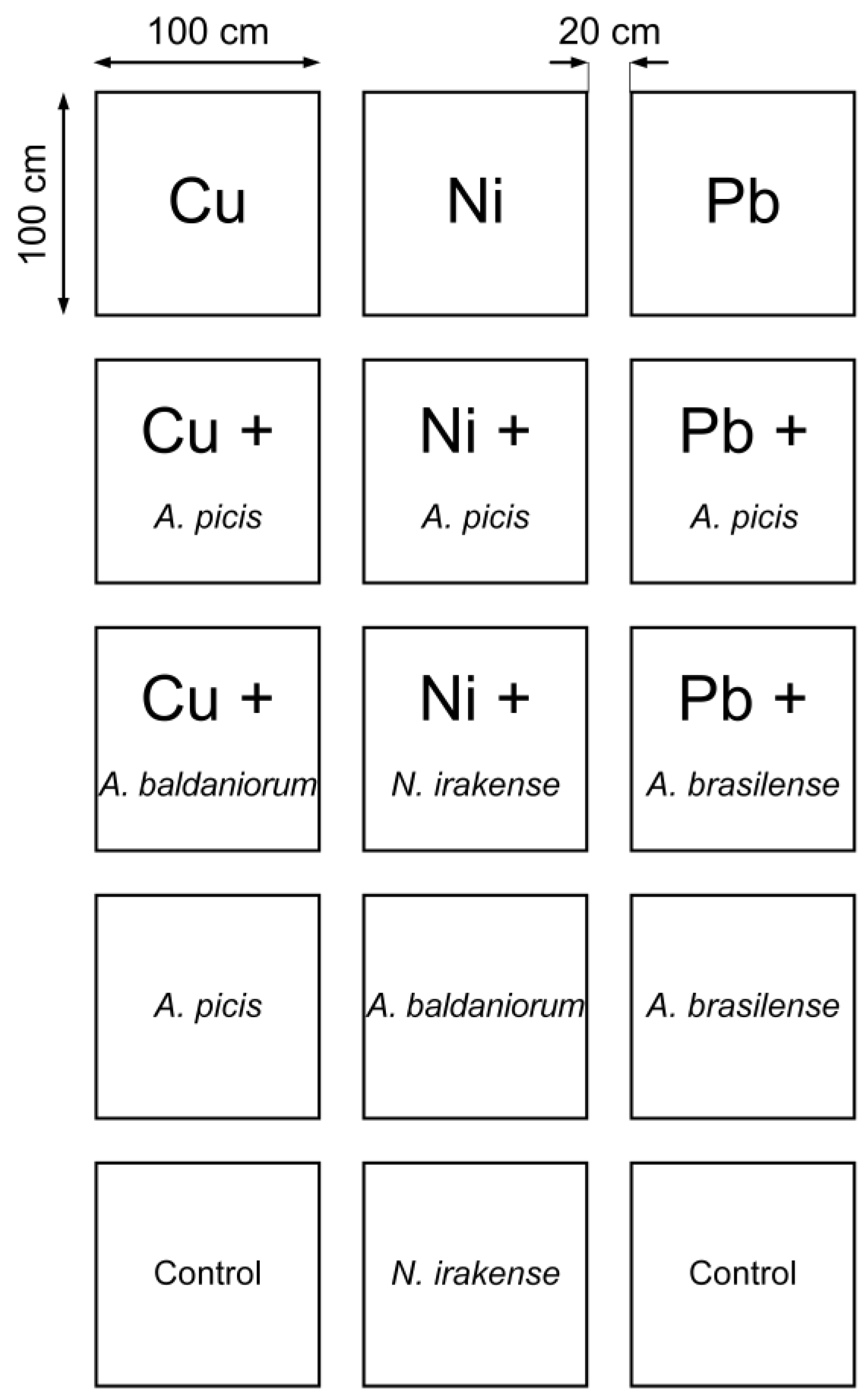 Microorganisms 13 00334 g001