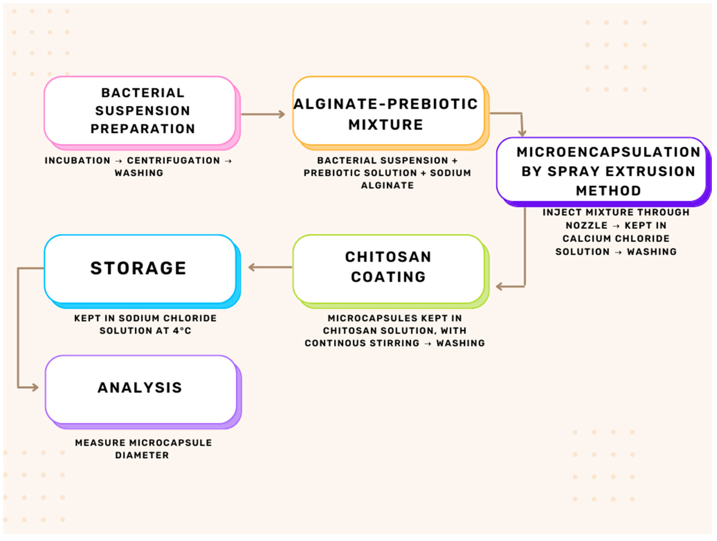 Microorganisms 13 00336 g001