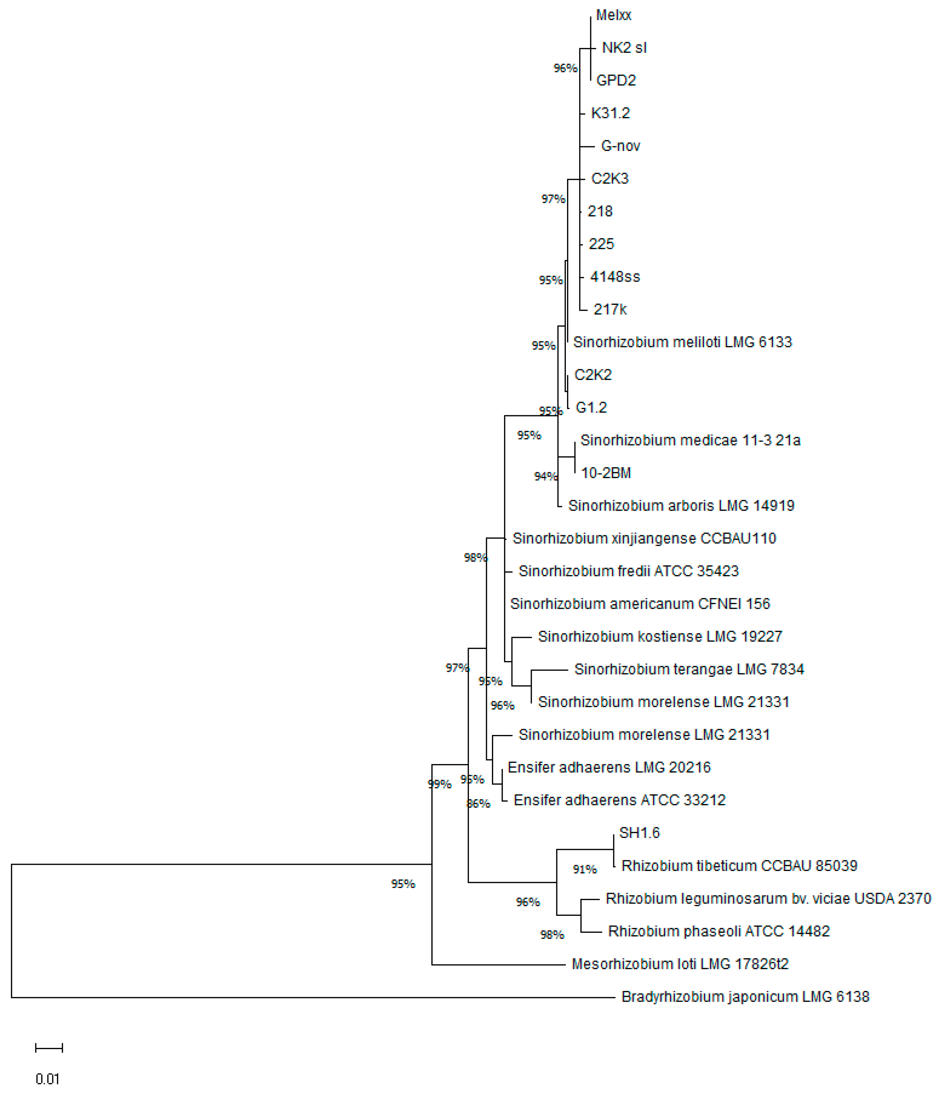 Microorganisms 13 00340 g007