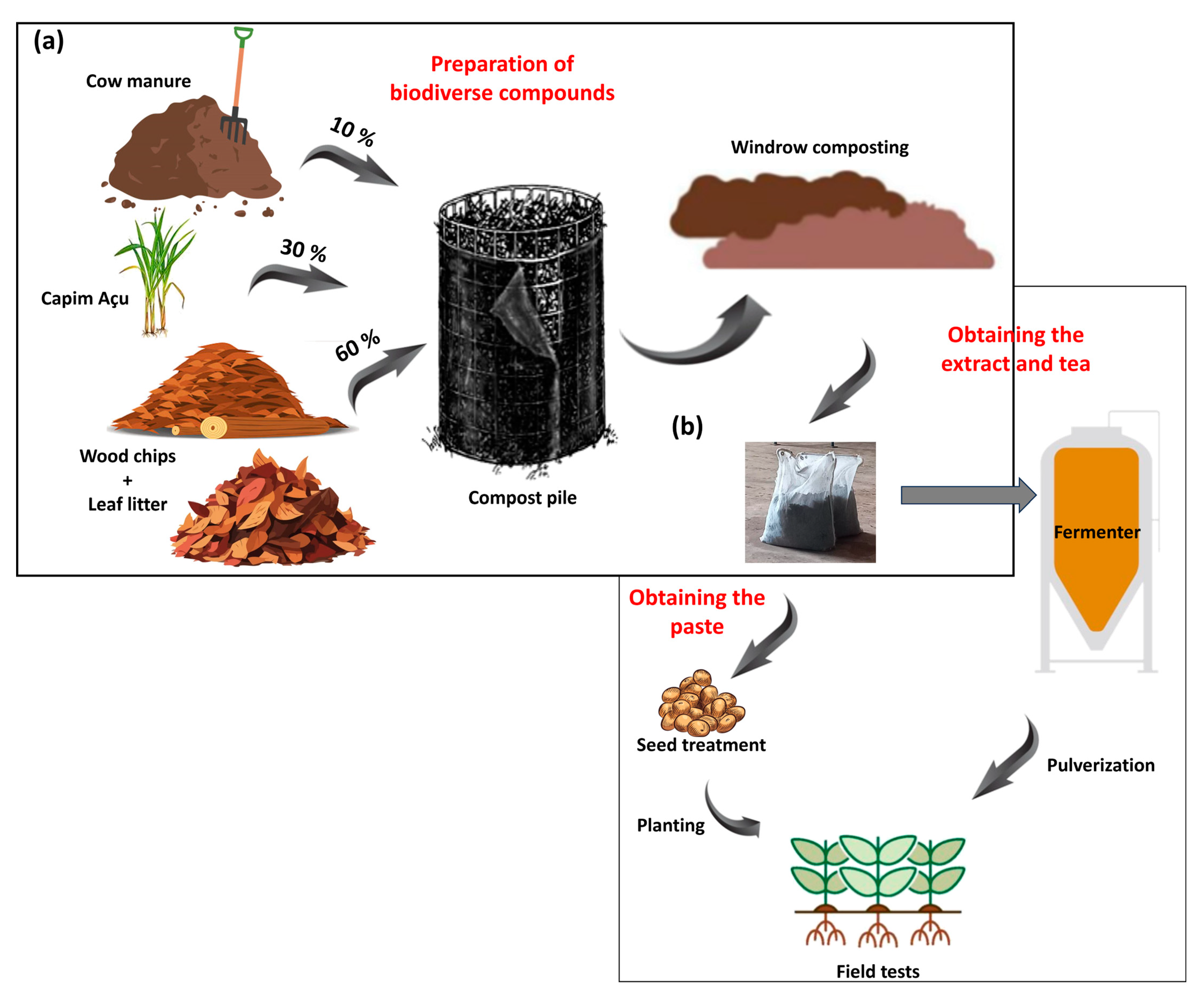 Microorganisms 13 00341 g001