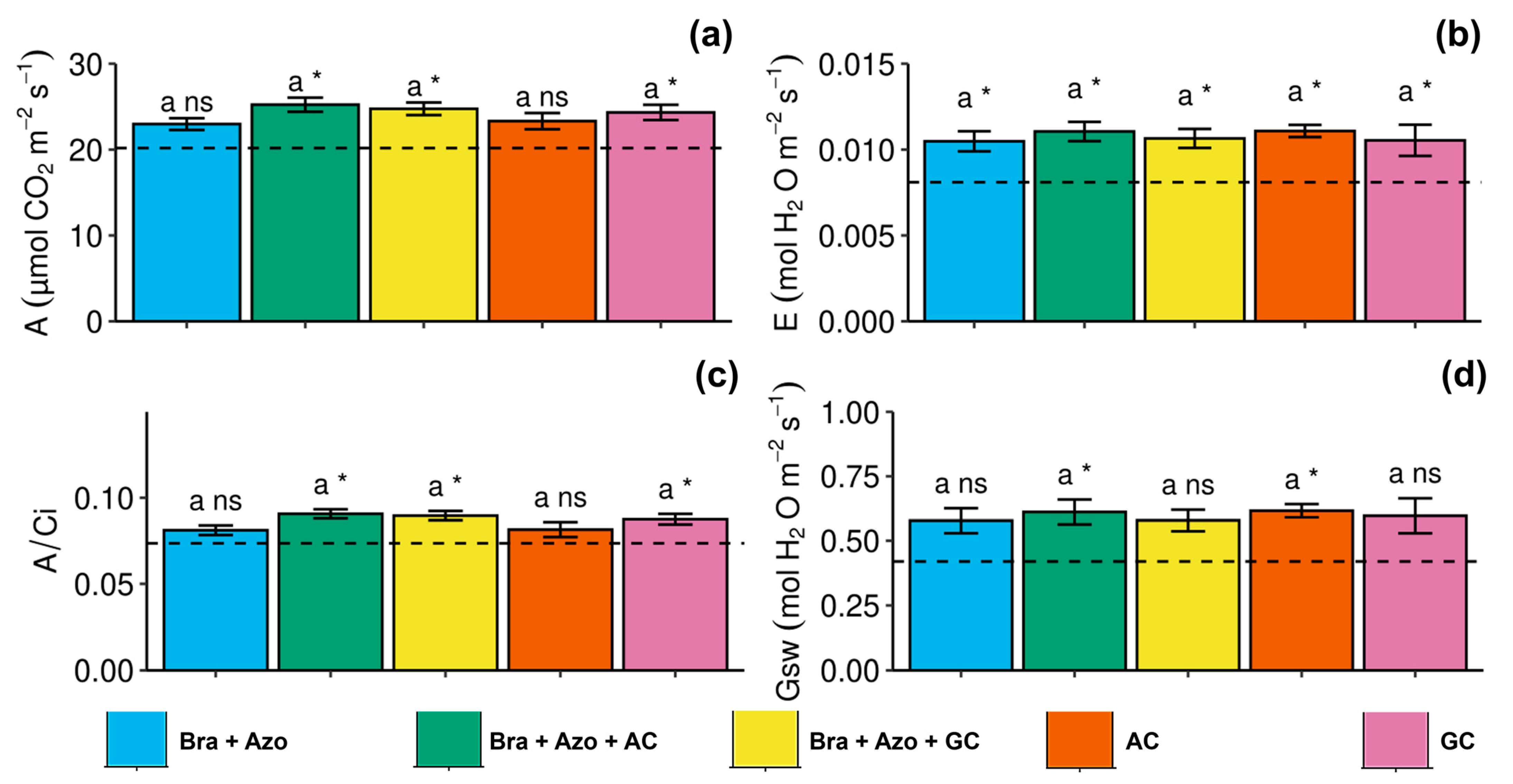 Microorganisms 13 00341 g005
