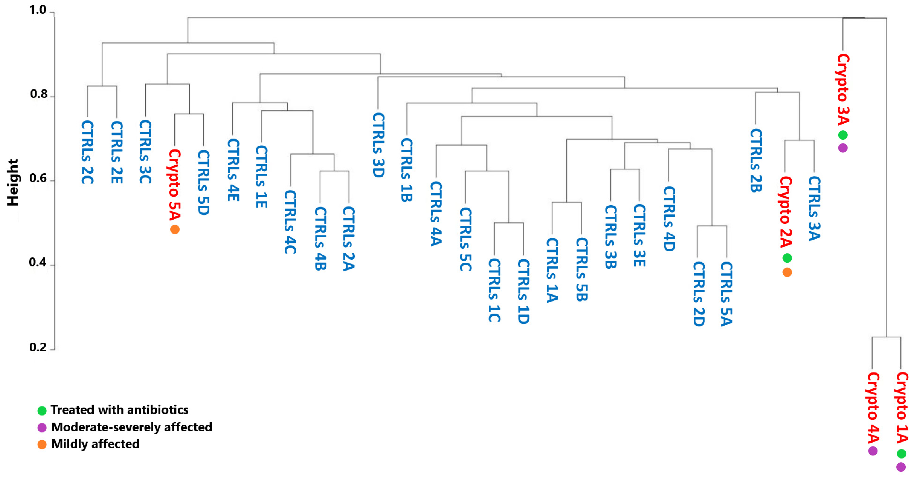 Microorganisms 13 00342 g004
