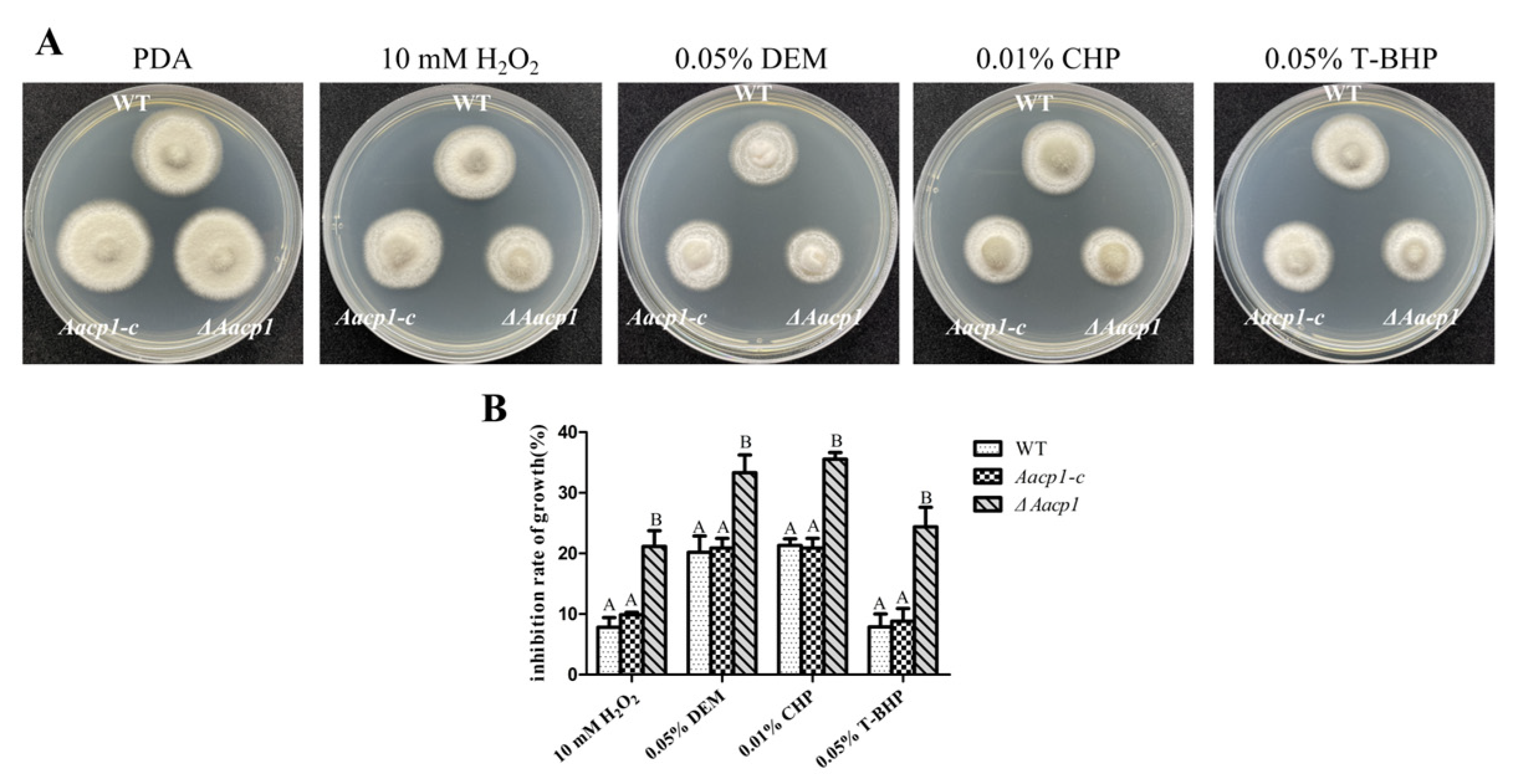 Microorganisms 13 00343 g002