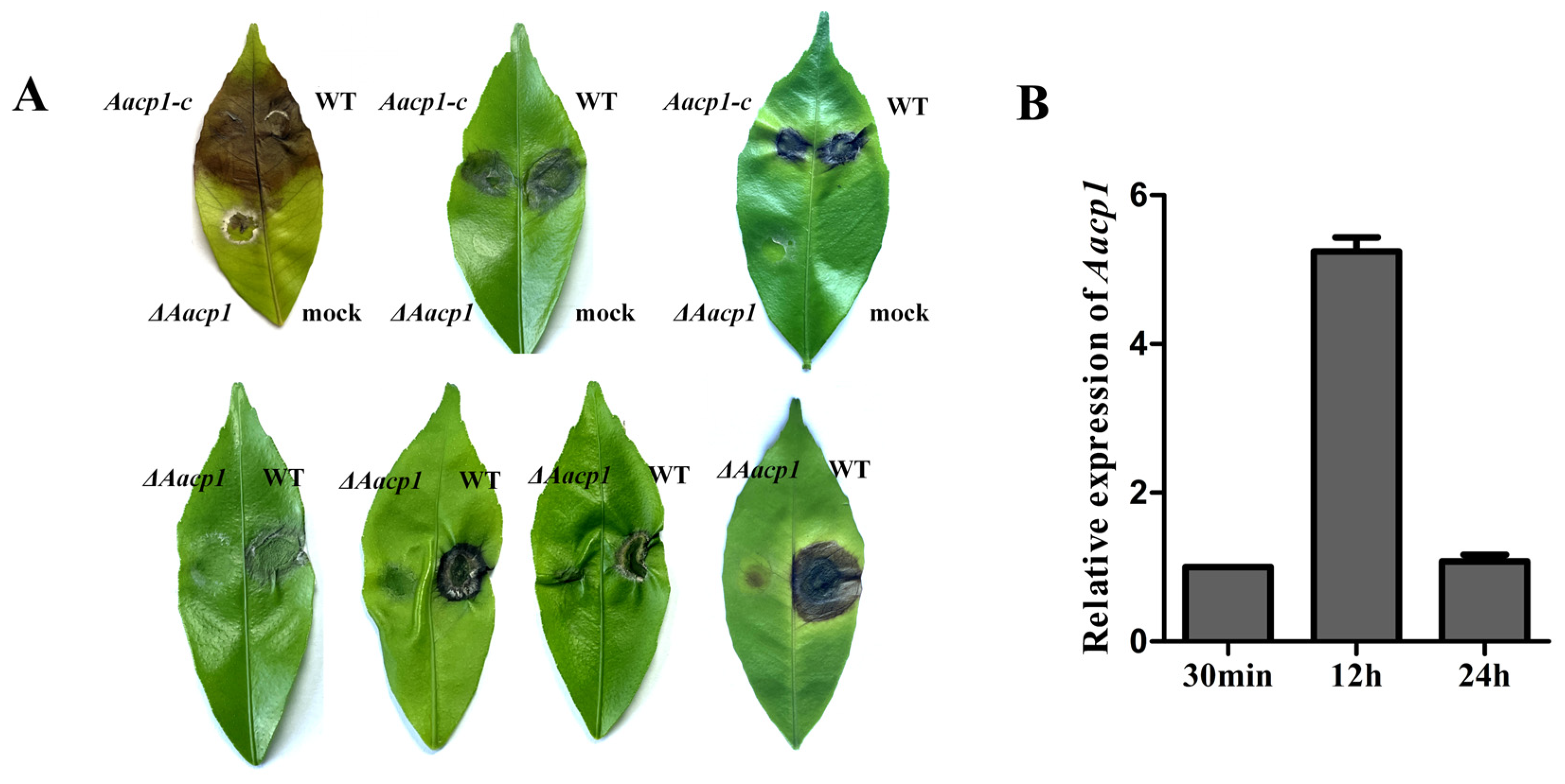 Microorganisms 13 00343 g003