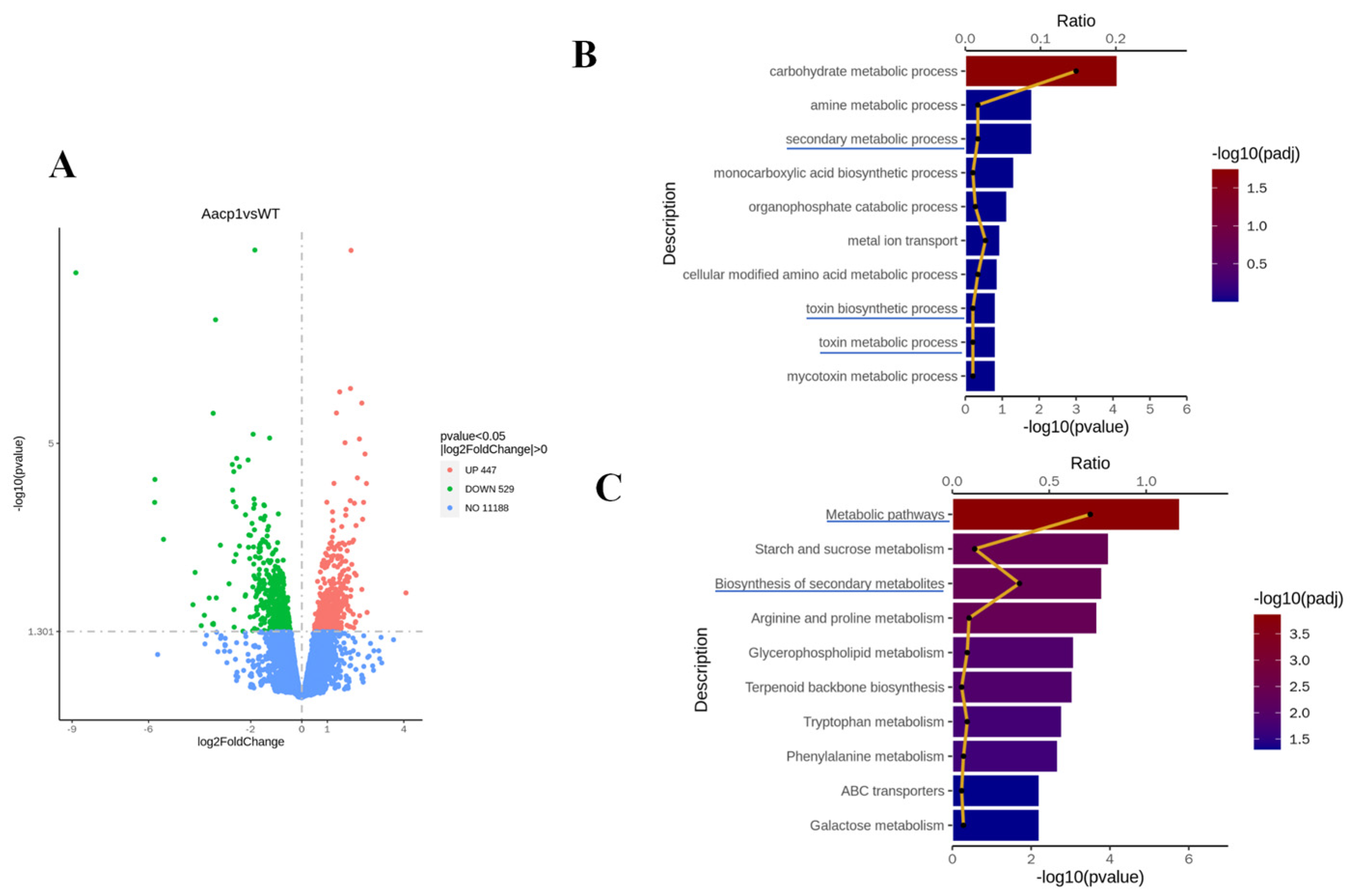 Microorganisms 13 00343 g005
