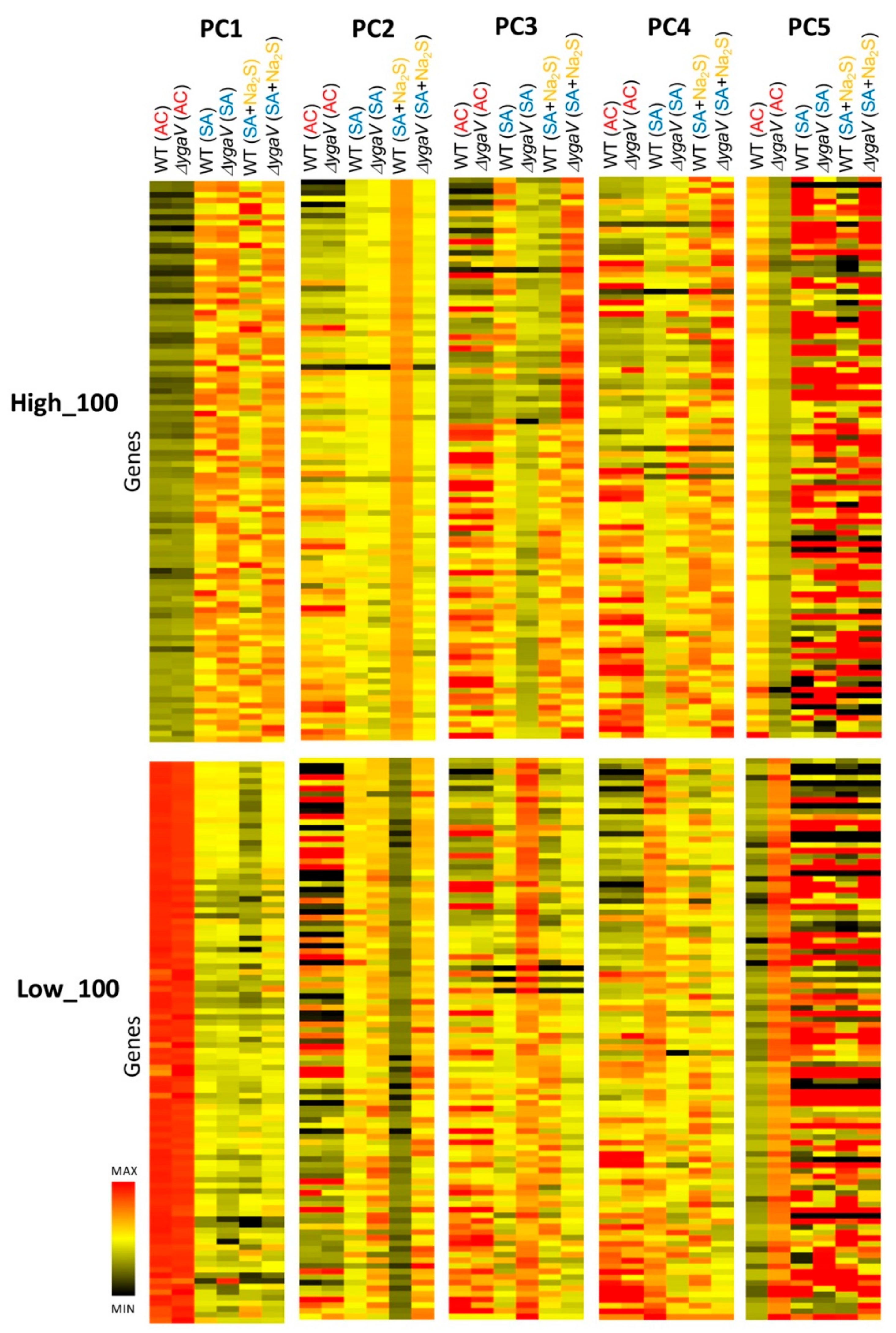 Microorganisms 13 00344 g002