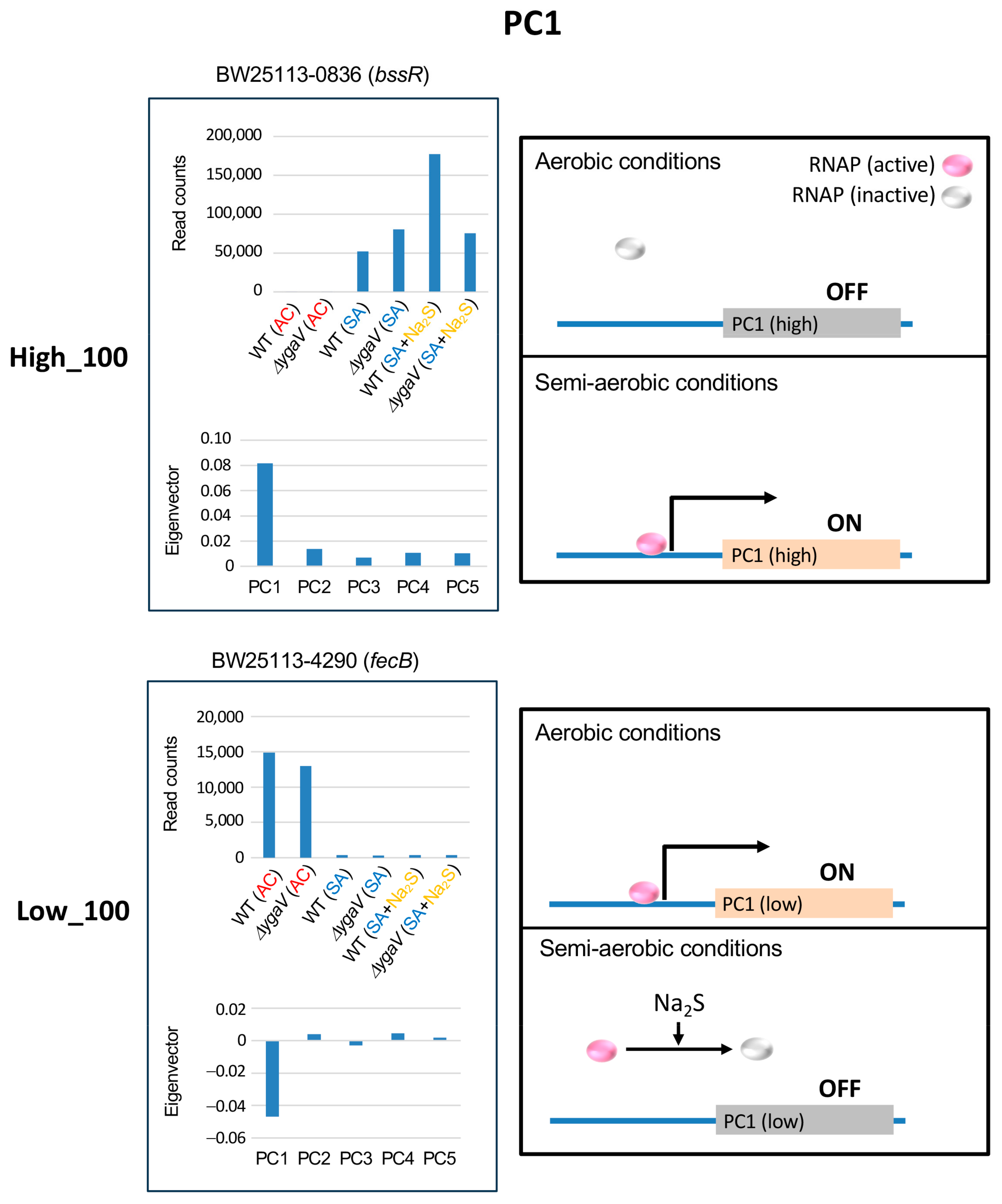 Microorganisms 13 00344 g003