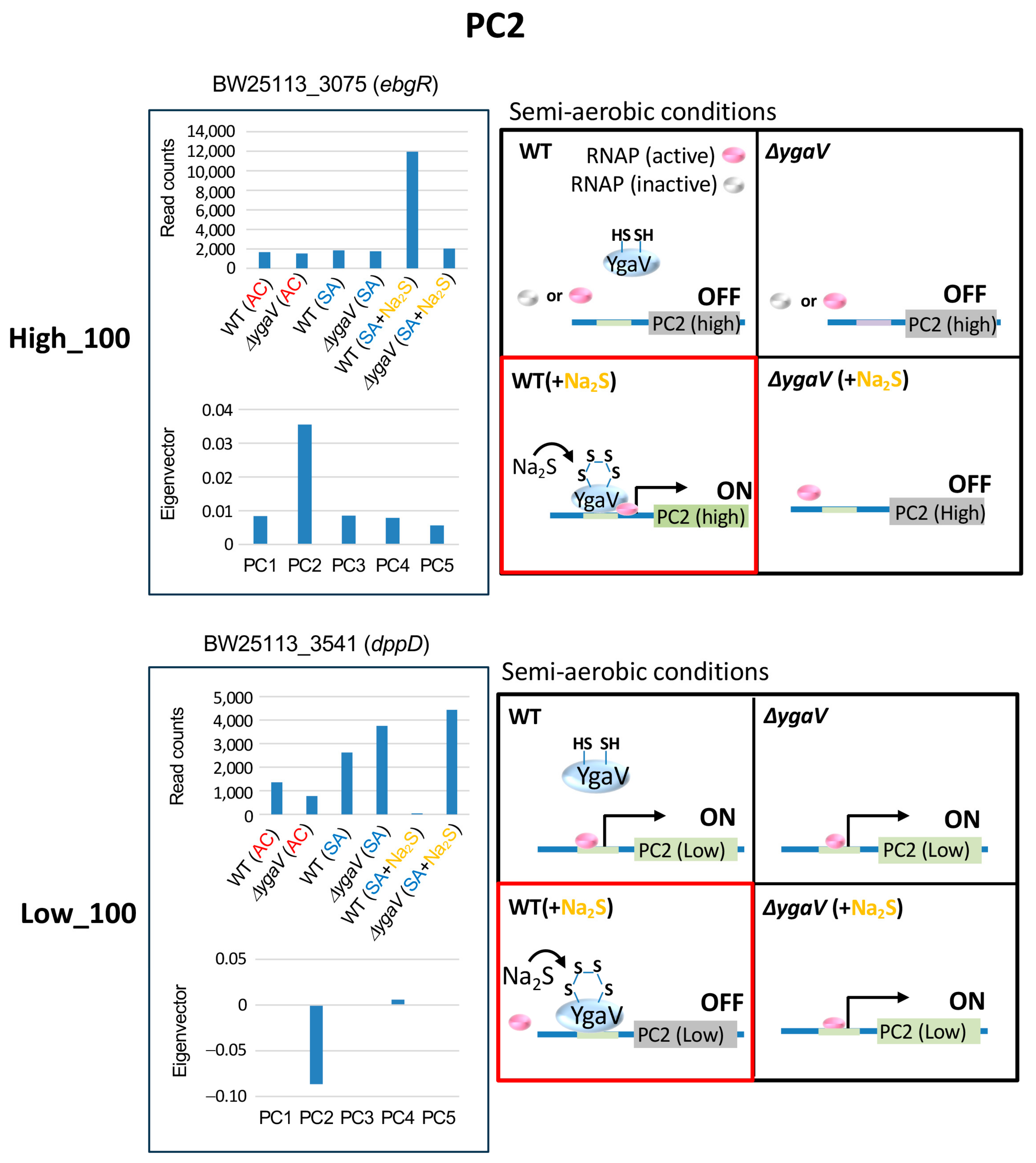 Microorganisms 13 00344 g004