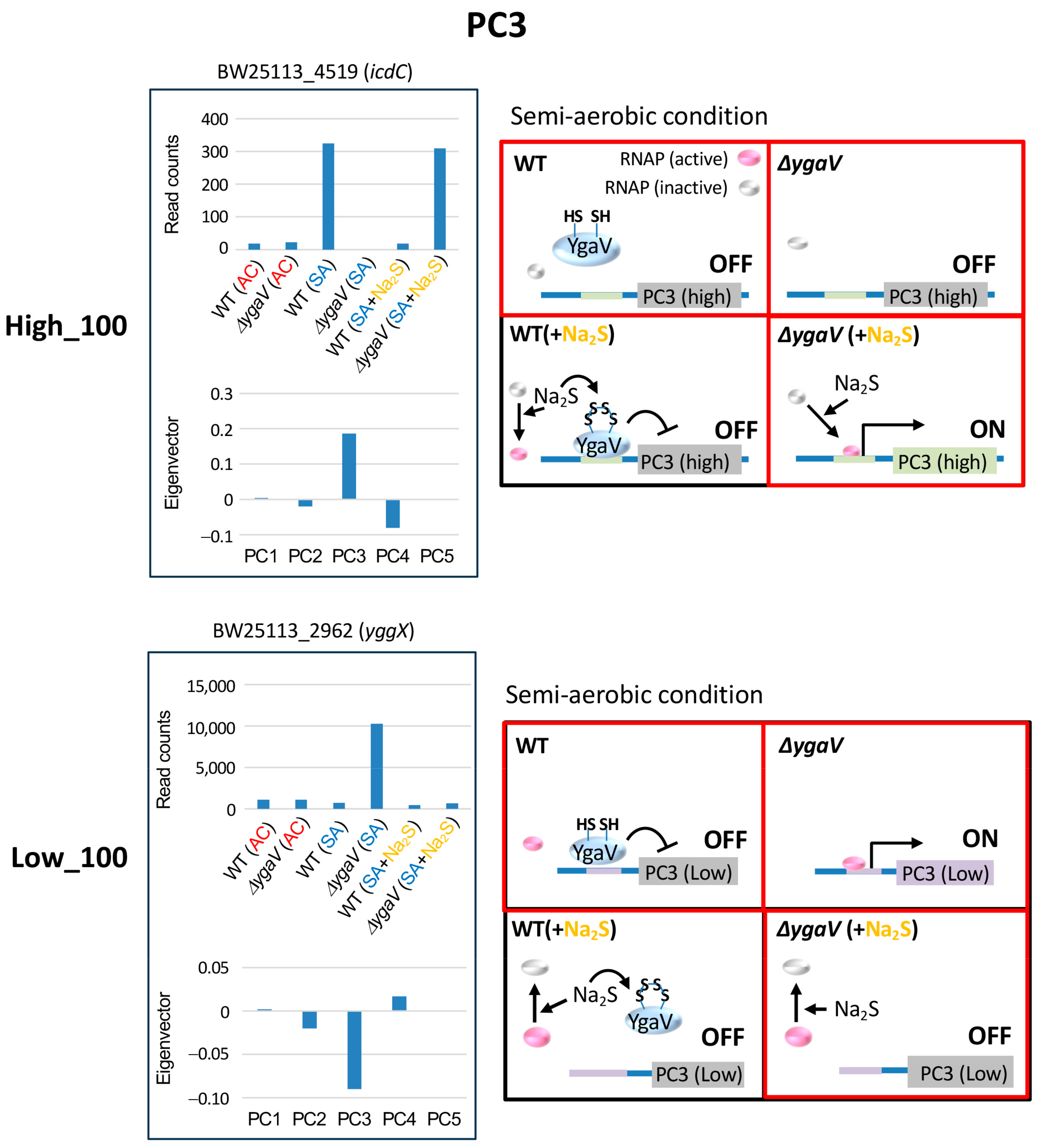 Microorganisms 13 00344 g005