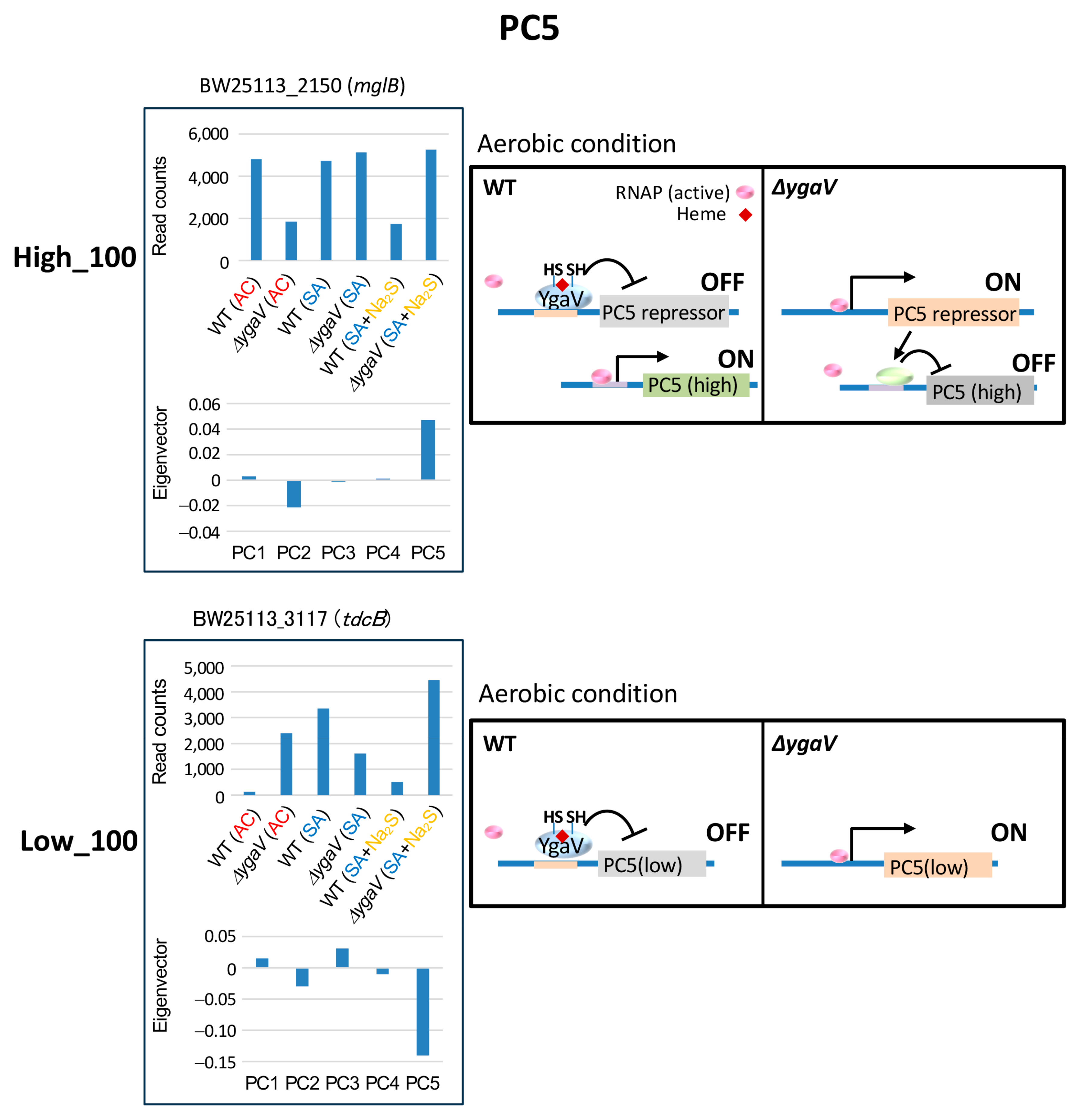 Microorganisms 13 00344 g007