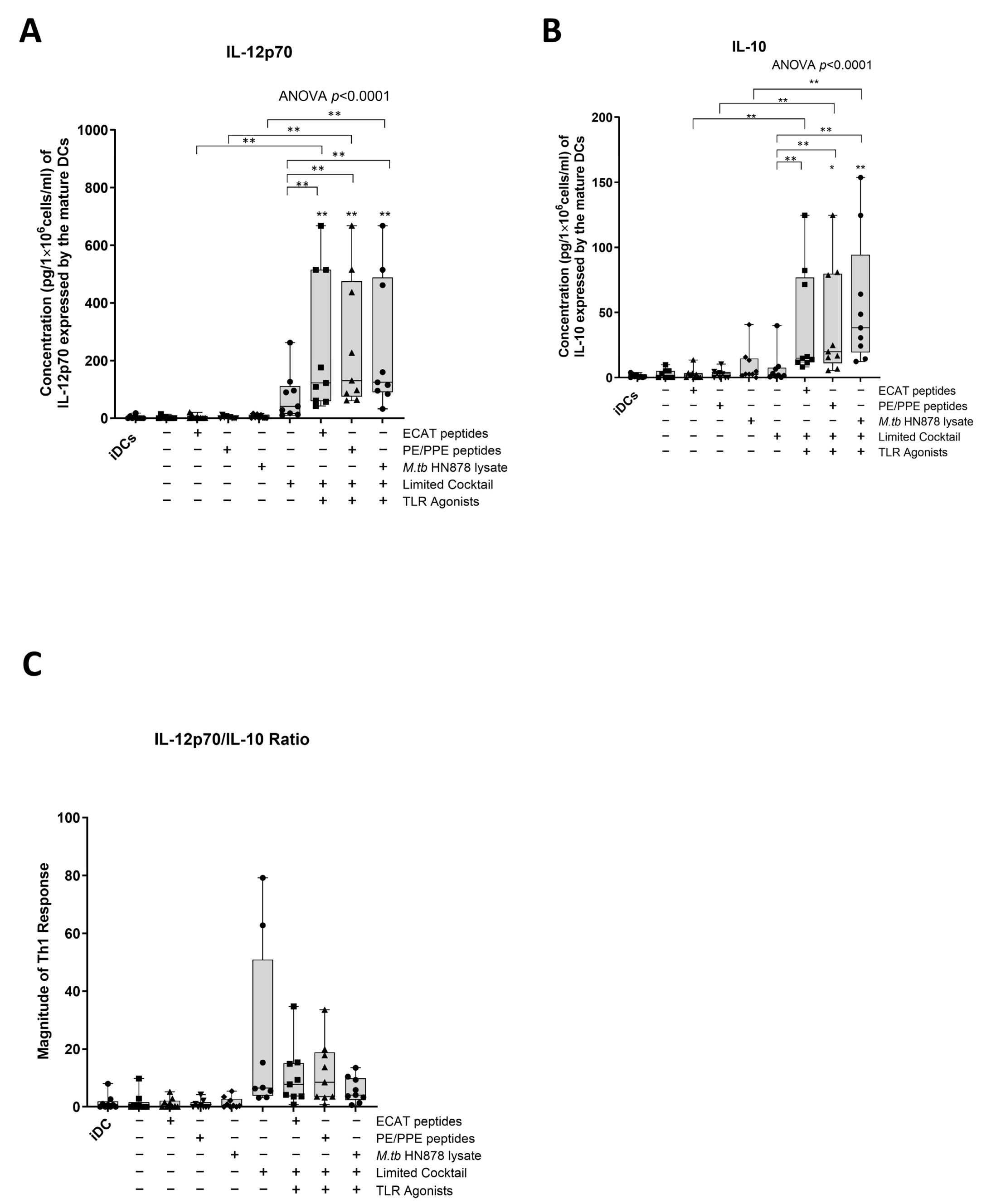 Microorganisms 13 00345 g004