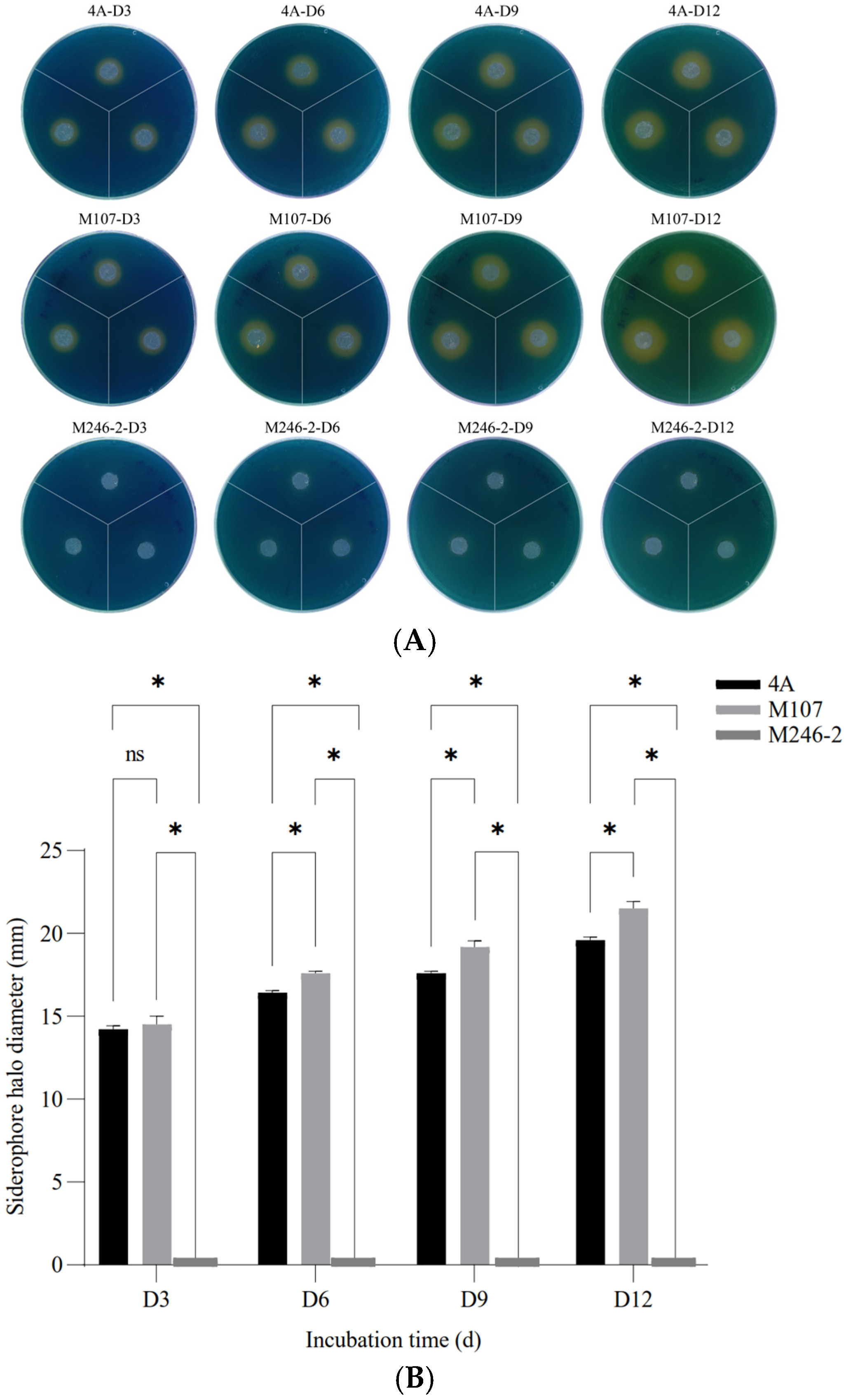 Microorganisms 13 00346 g001
