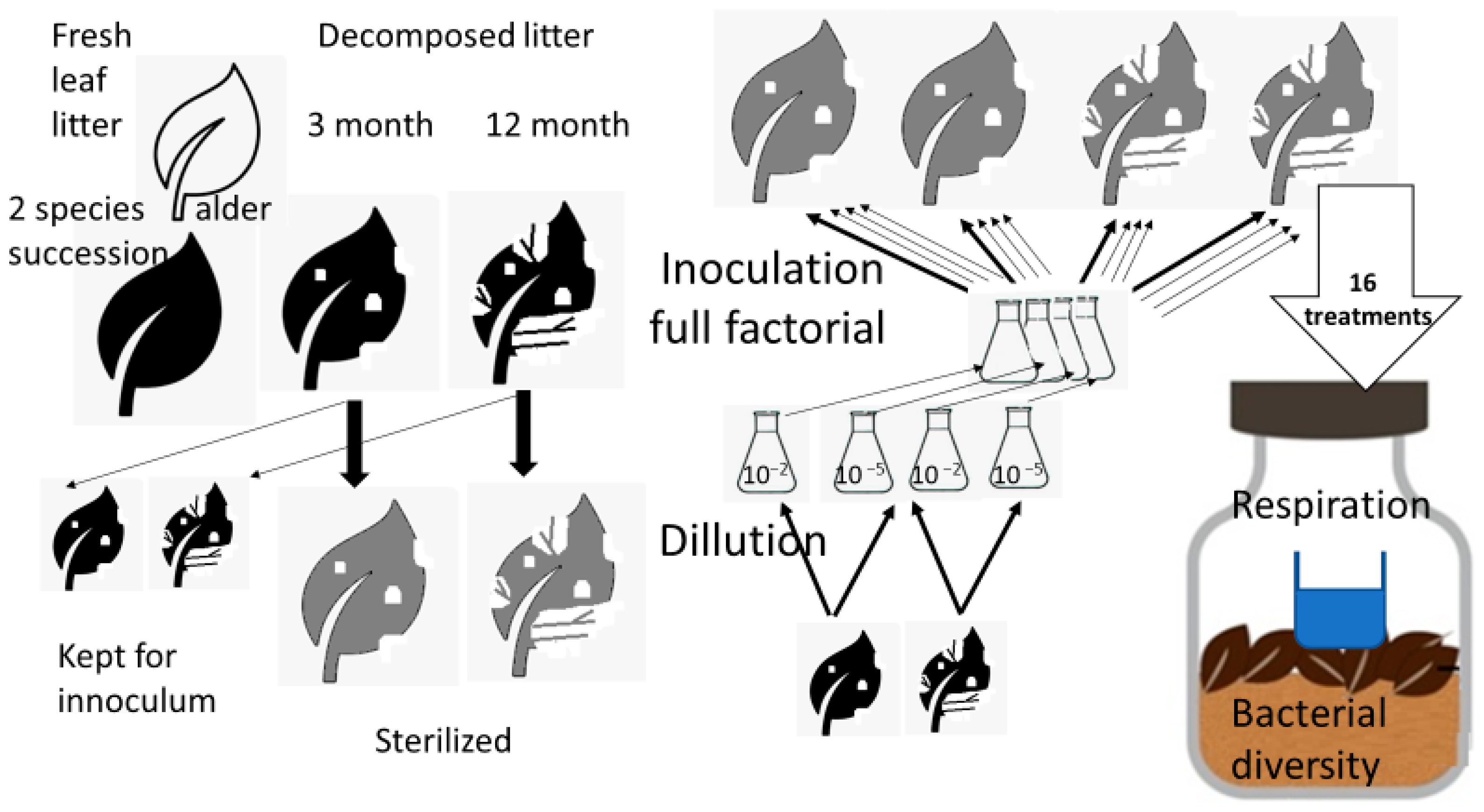 Microorganisms 13 00351 g001