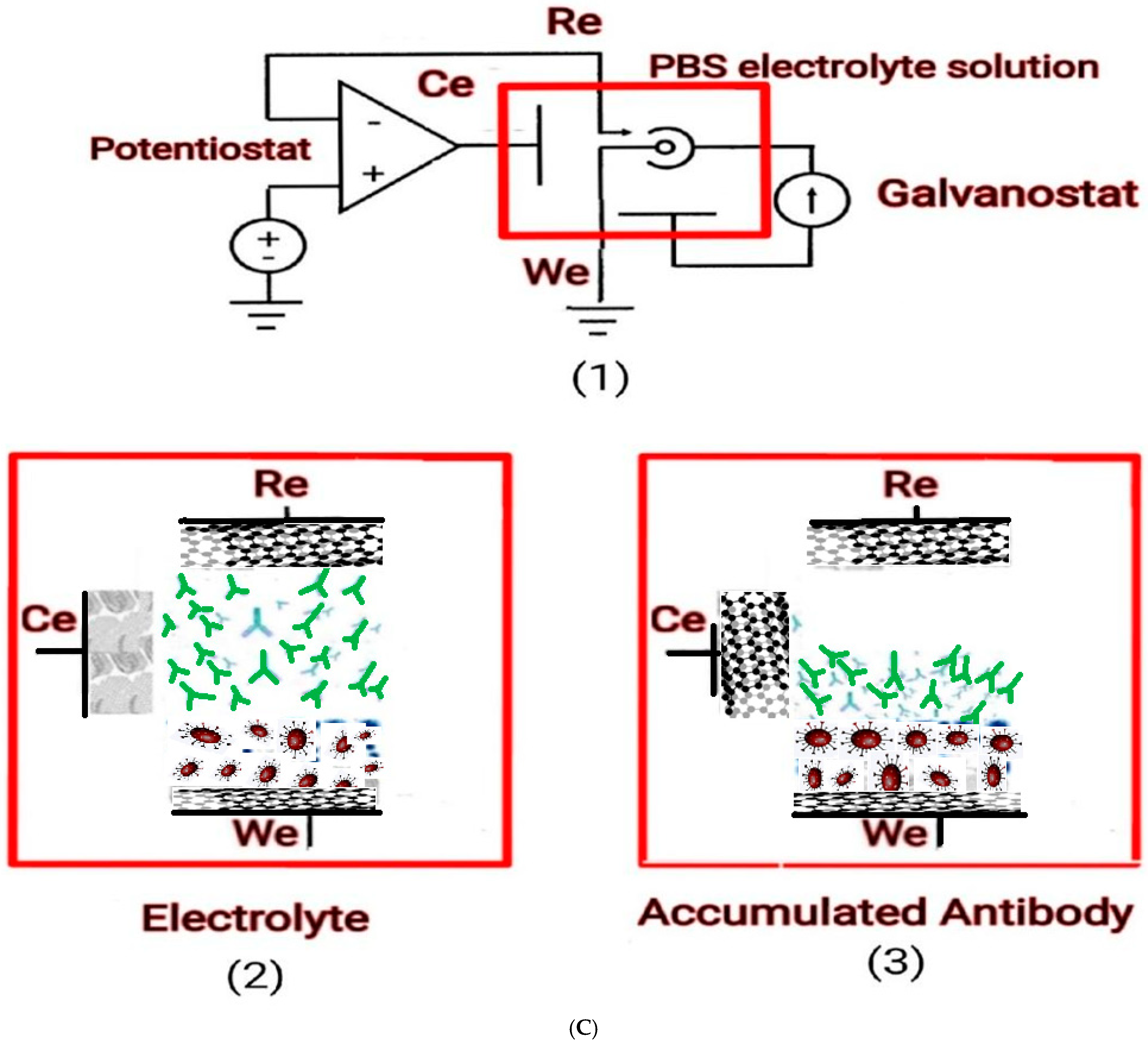 Microorganisms 13 00354 g003b