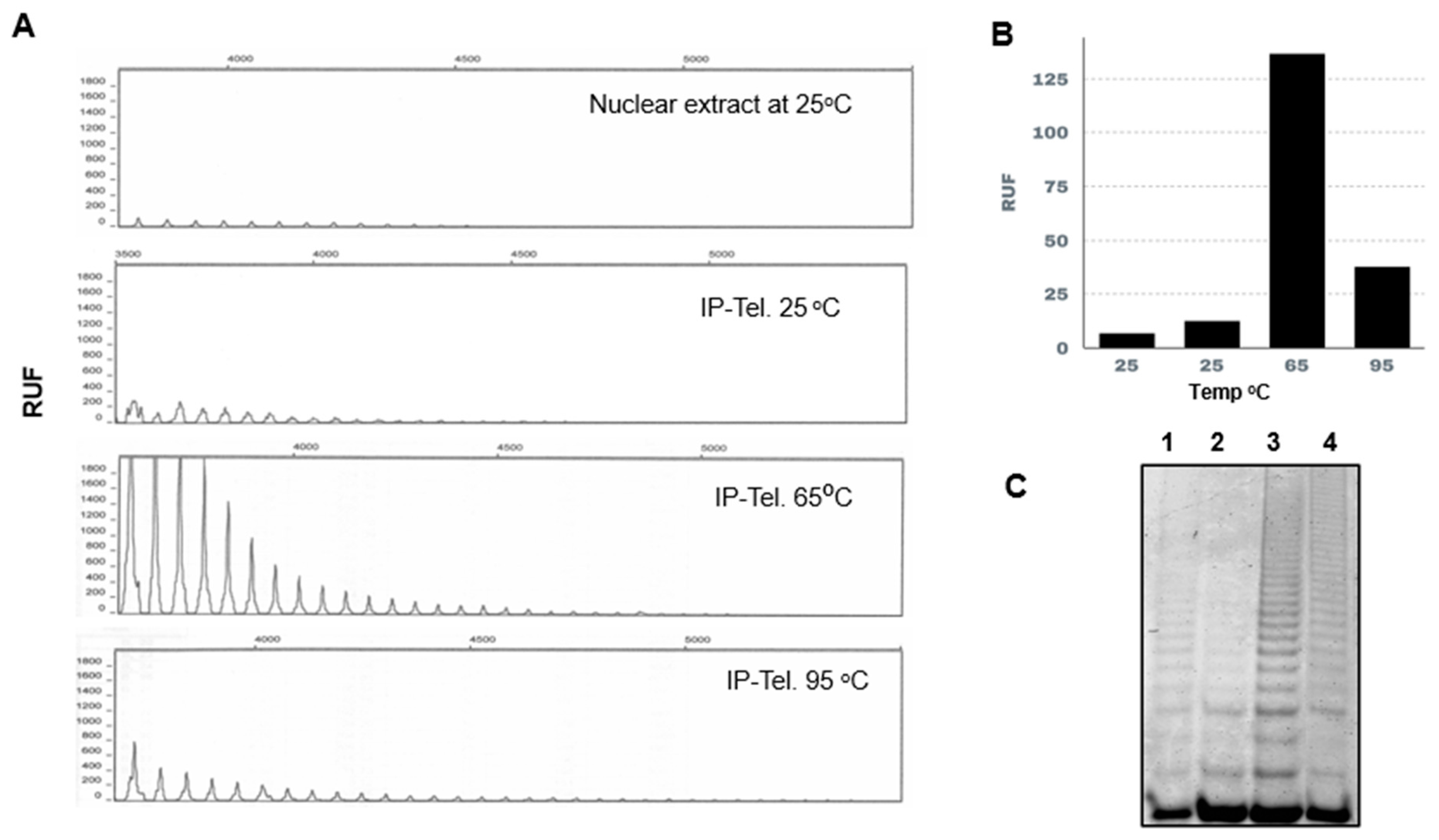 Microorganisms 13 00357 g004