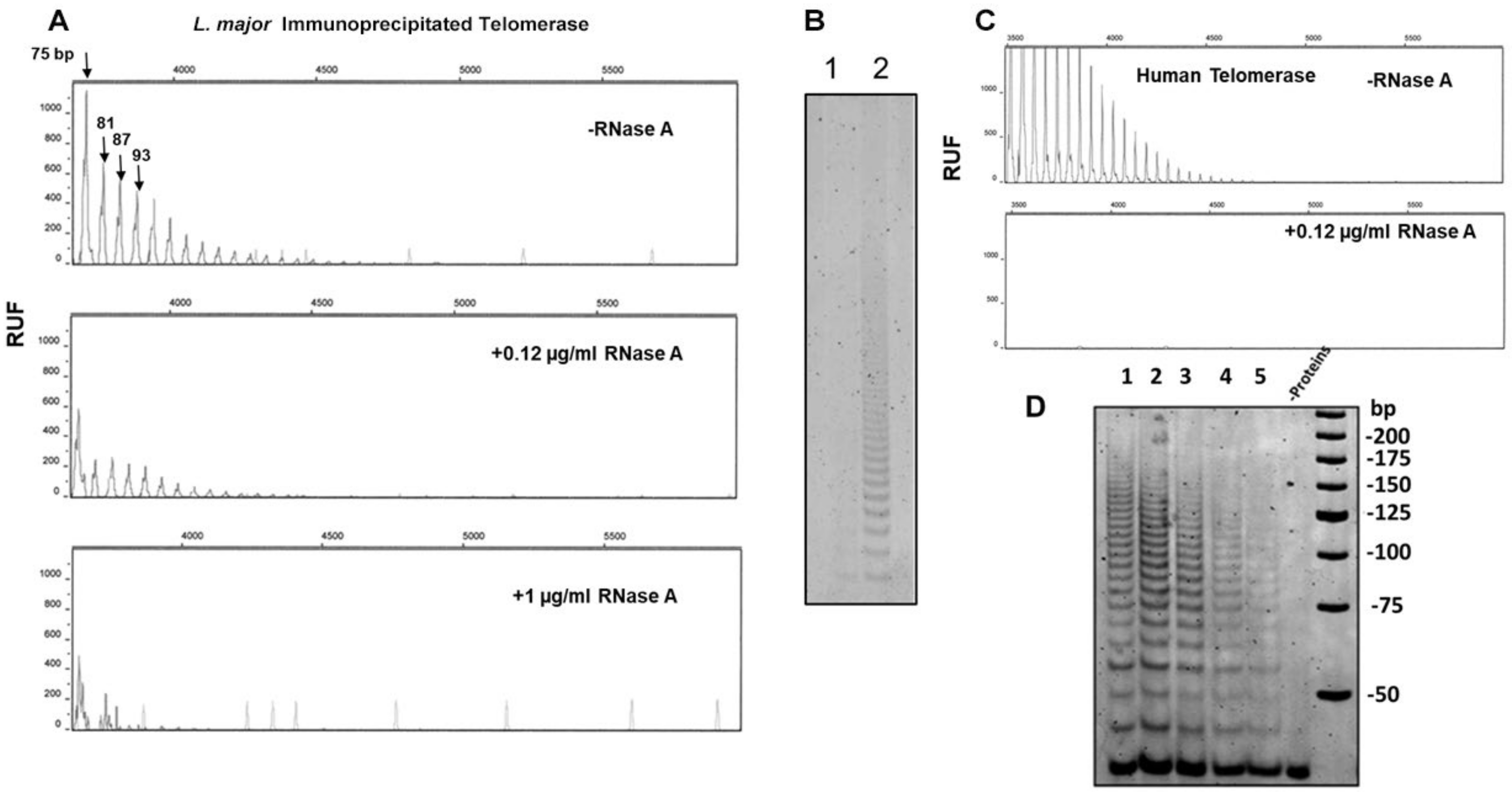 Microorganisms 13 00357 g005