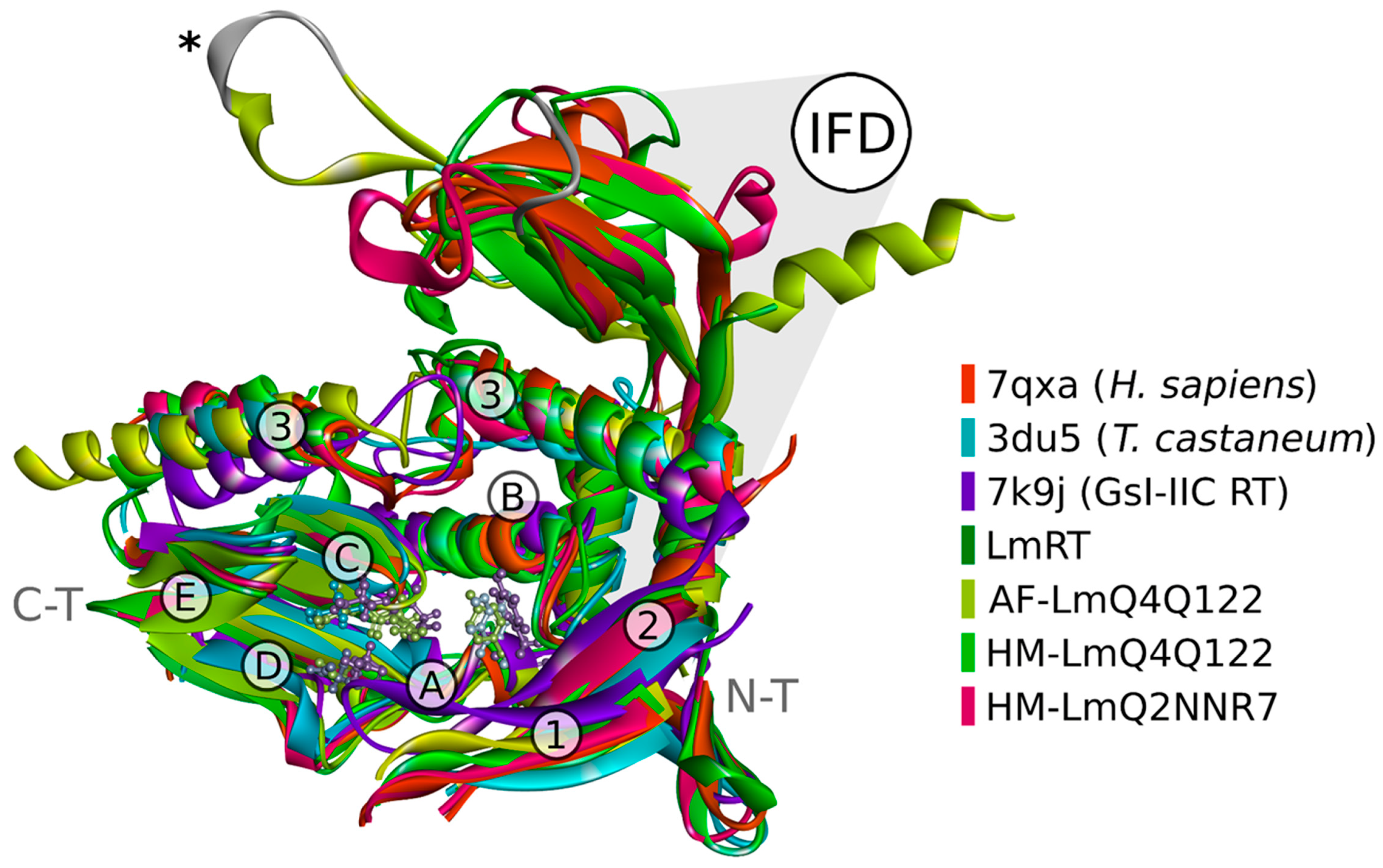 Microorganisms 13 00357 g006