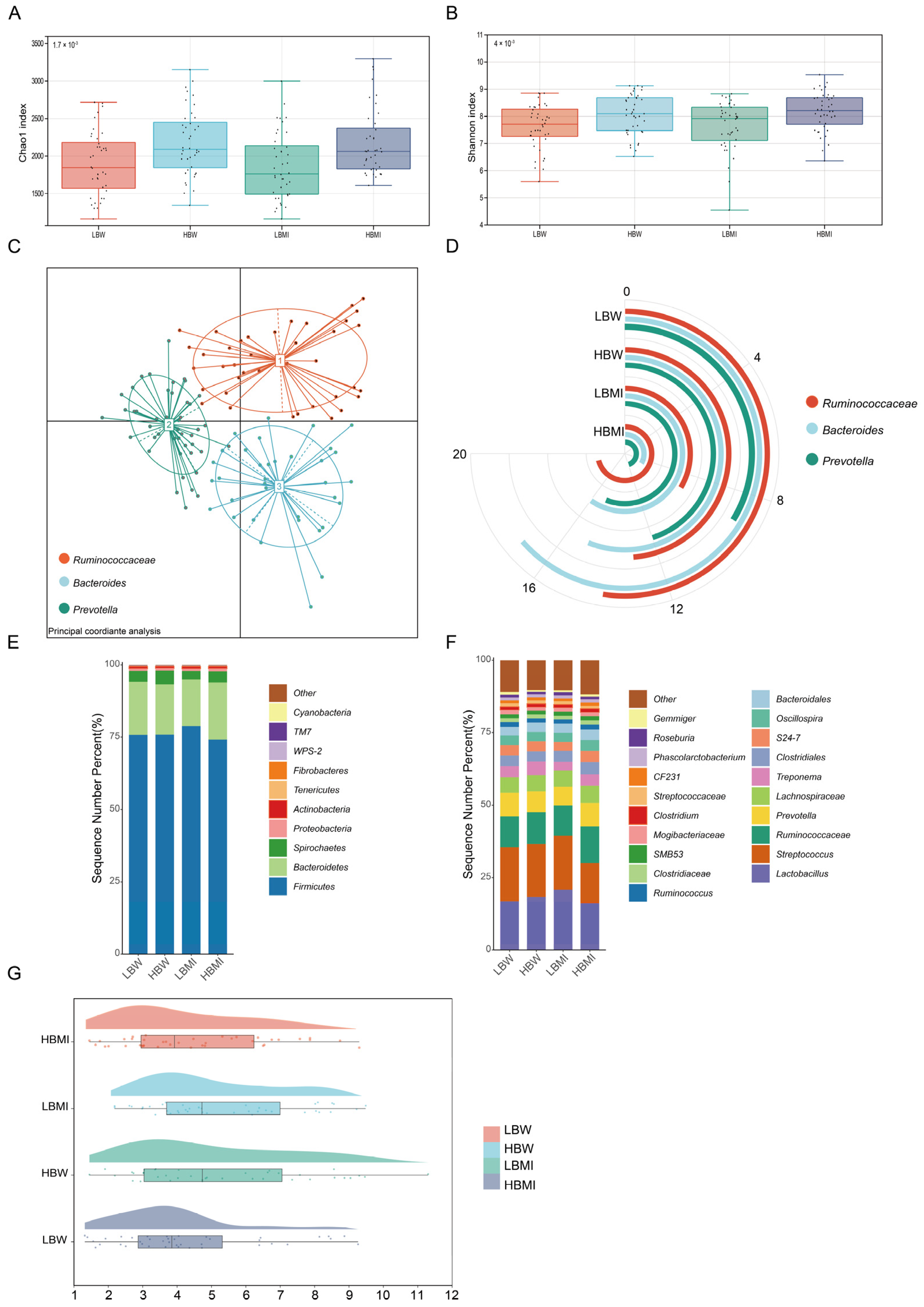 Microorganisms 13 00358 g001