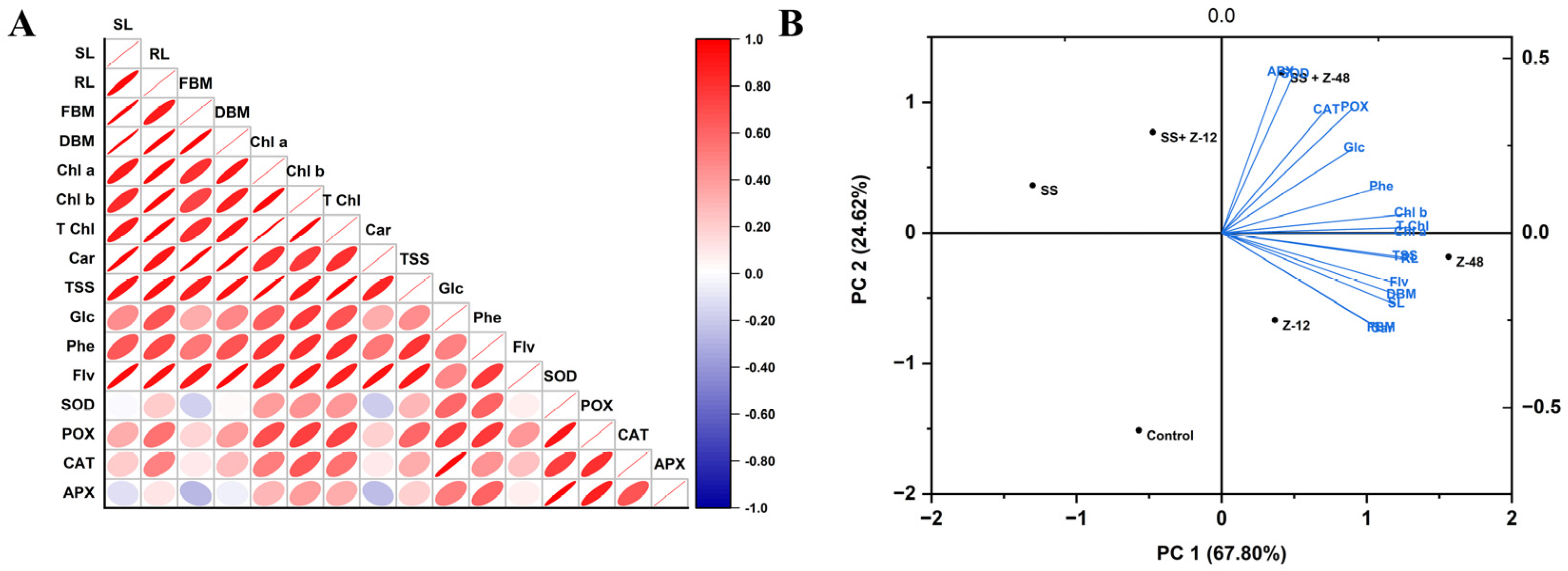 Microorganisms 13 00359 g003