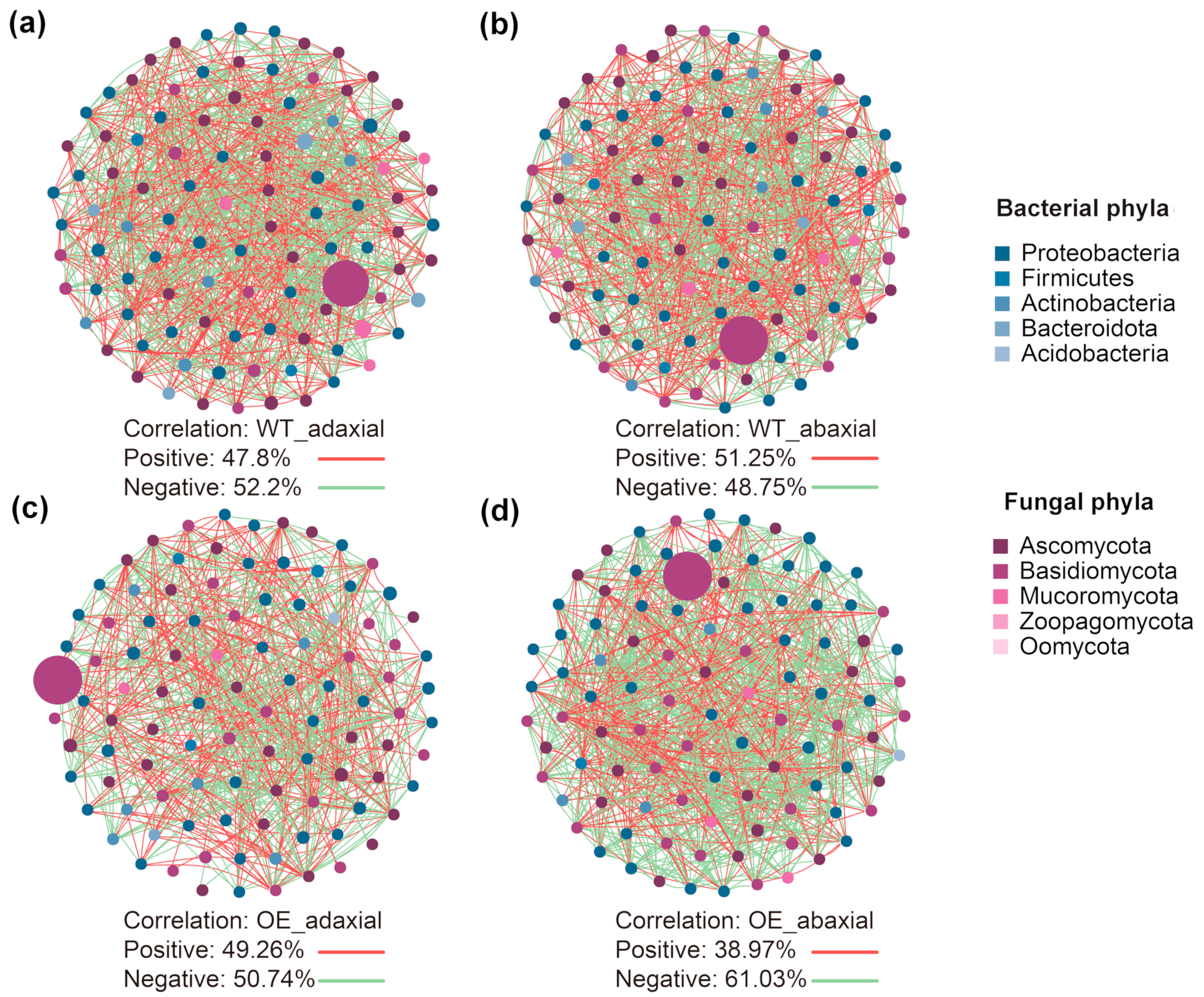 Microorganisms 13 00362 g002