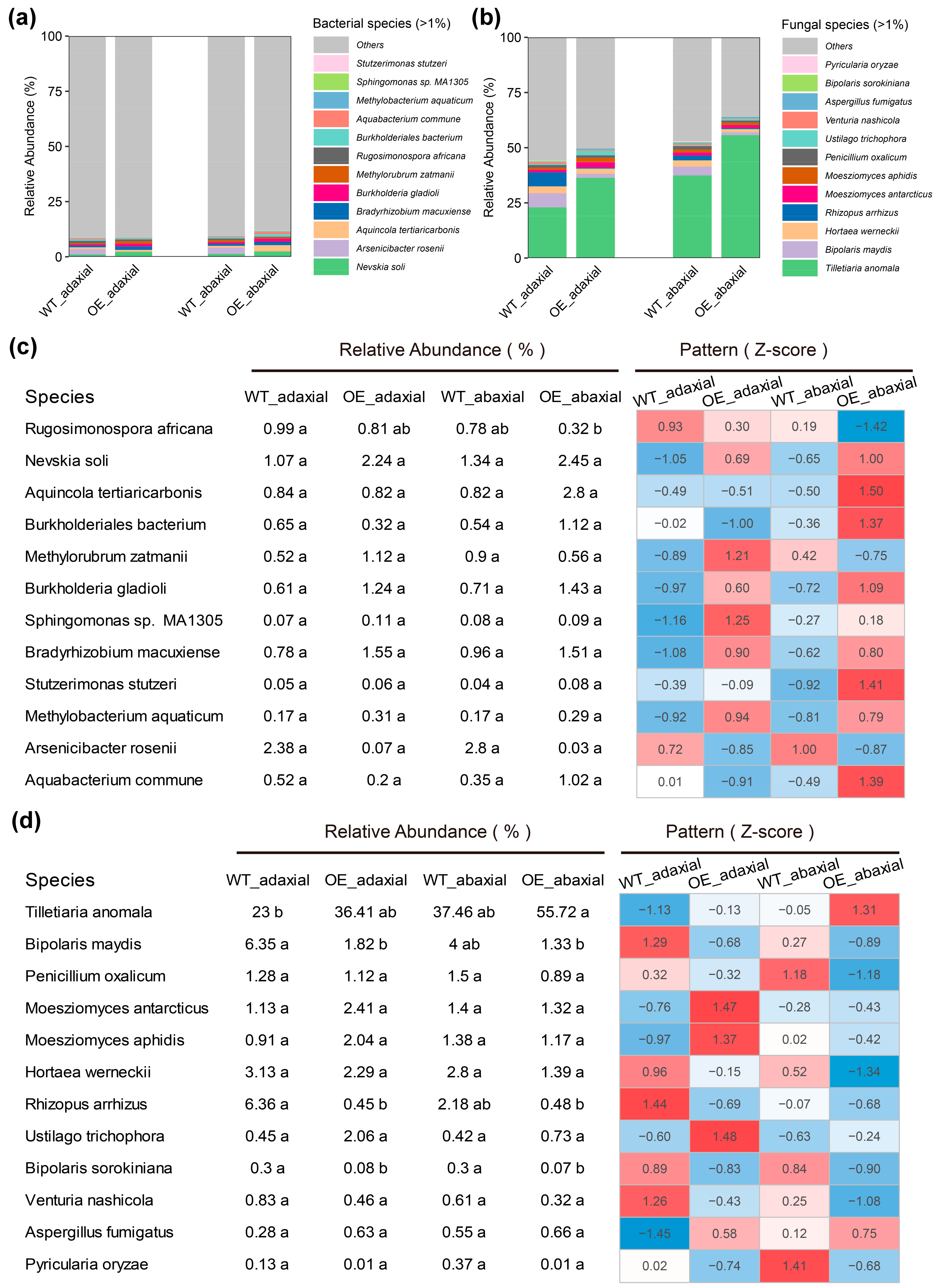 Microorganisms 13 00362 g003