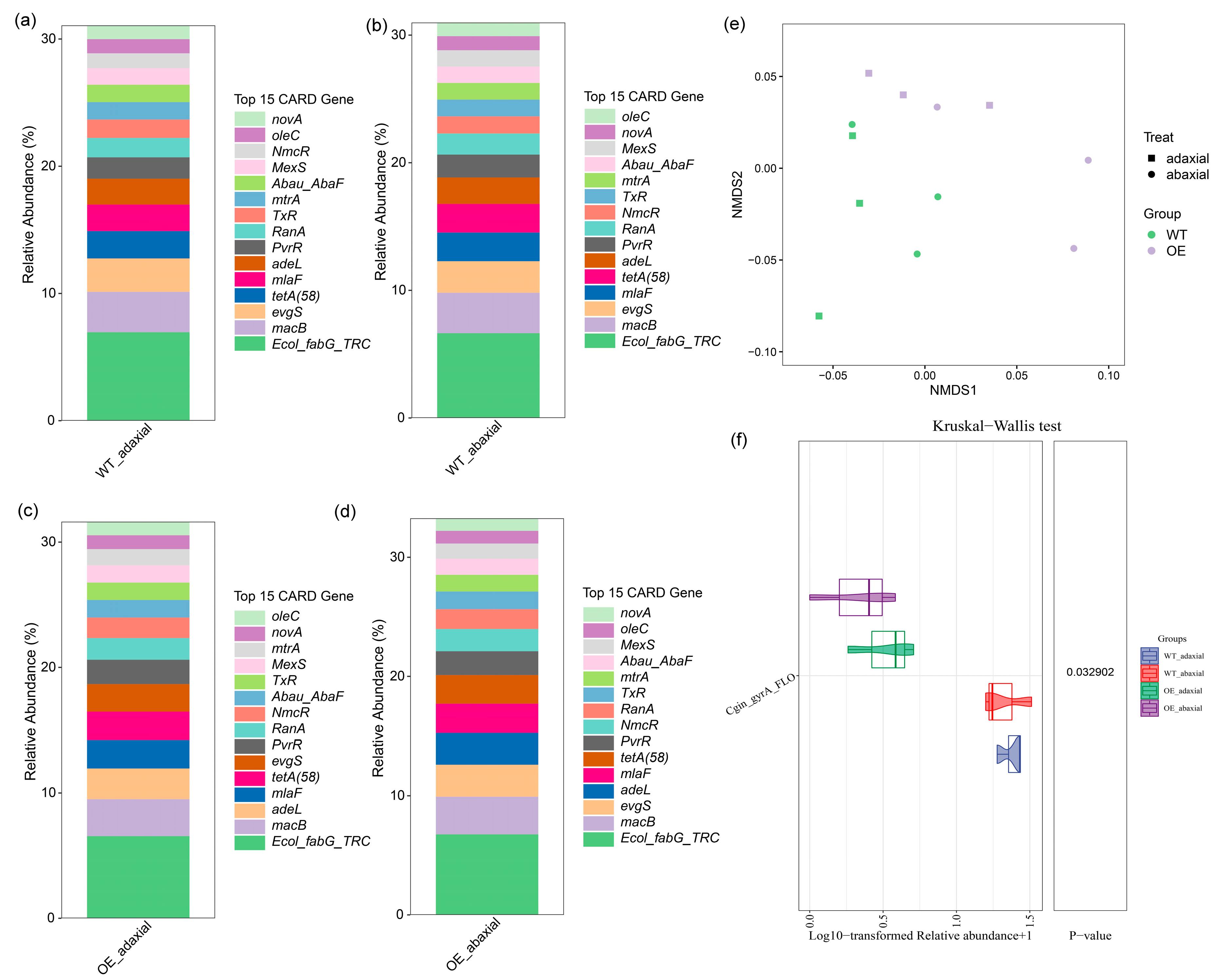 Microorganisms 13 00362 g004