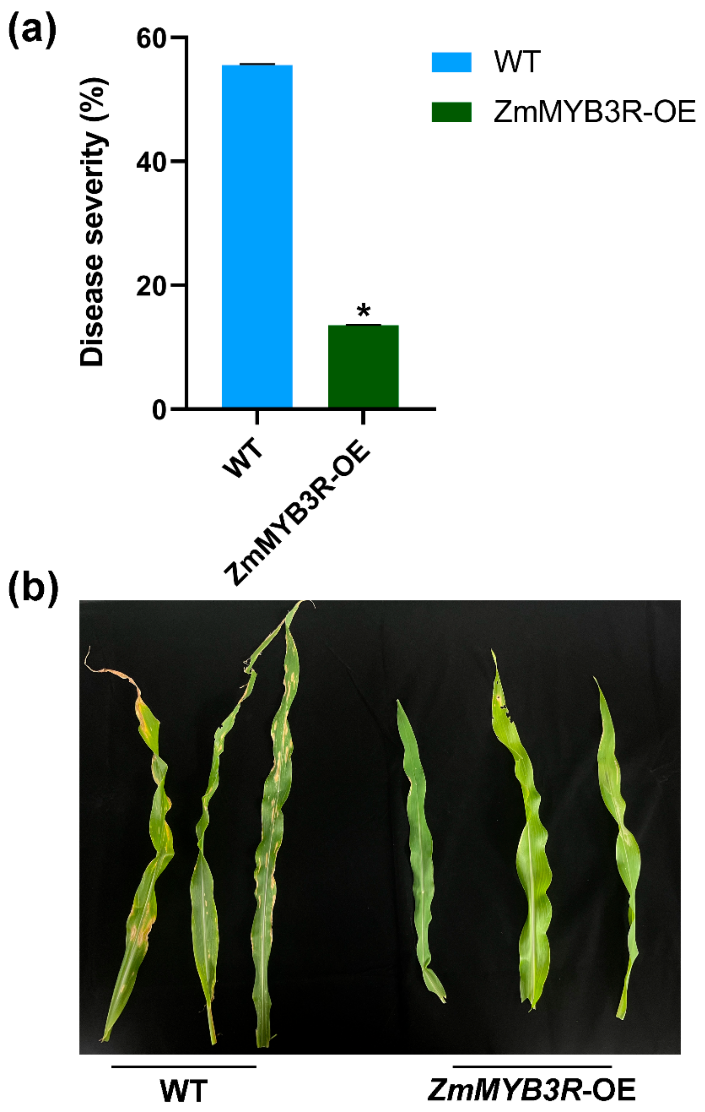 Microorganisms 13 00362 g006