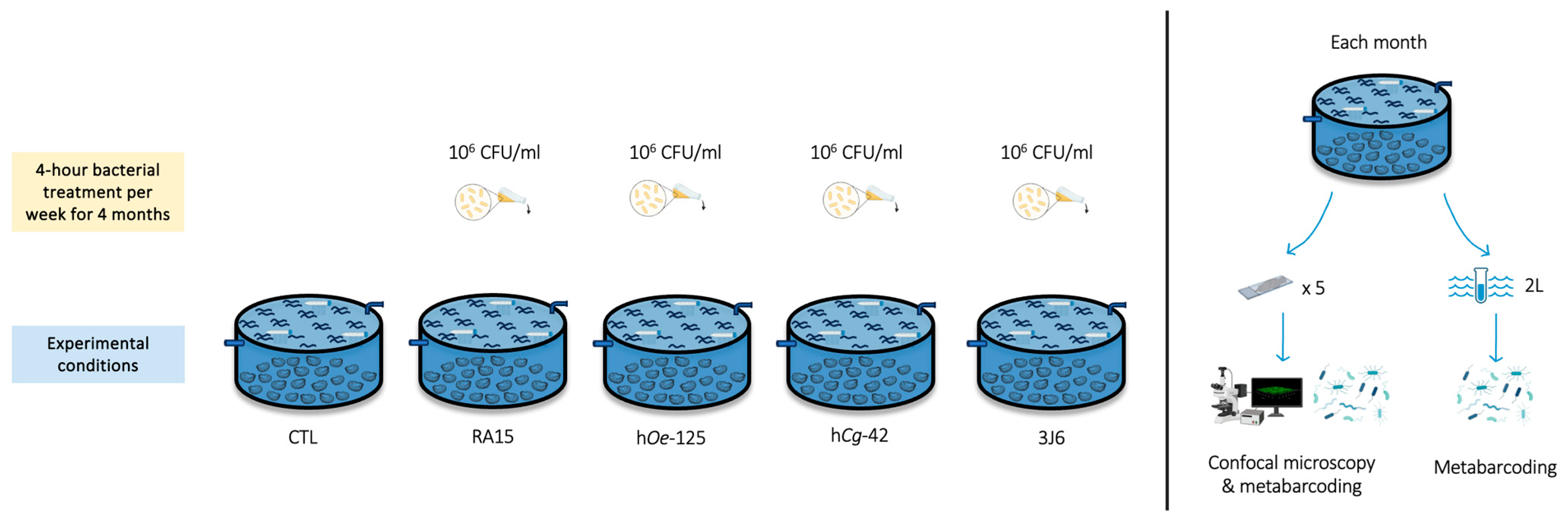 Microorganisms 13 00363 g001