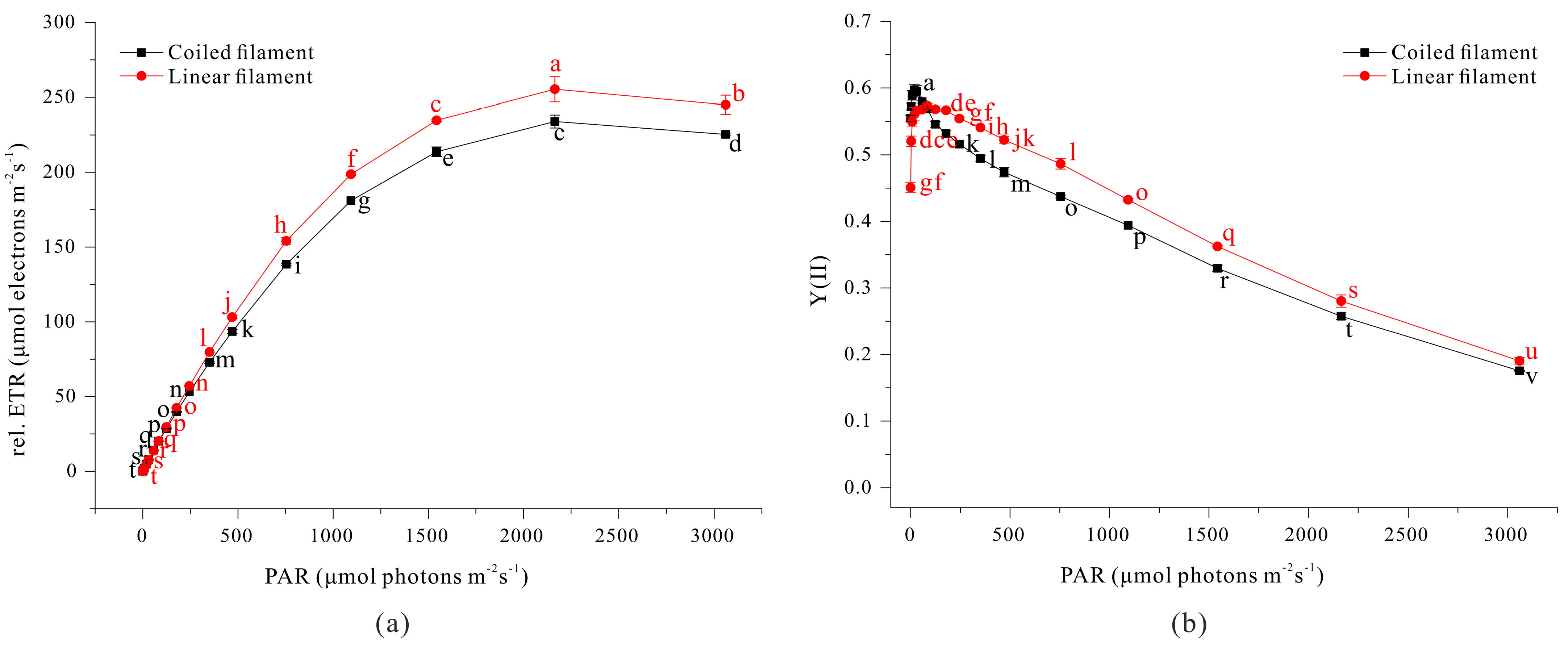 Microorganisms 13 00367 g008
