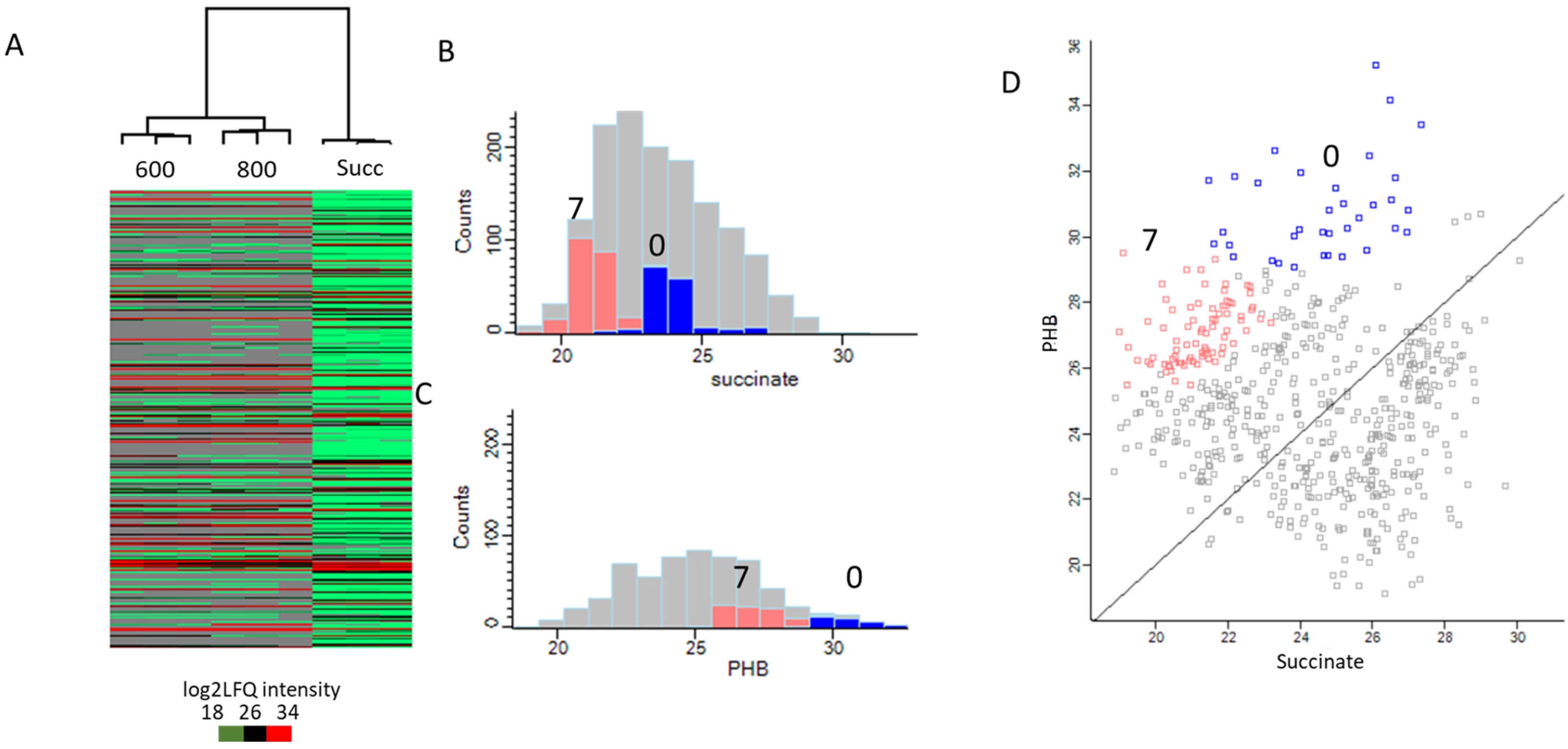 Microorganisms 13 00369 g004