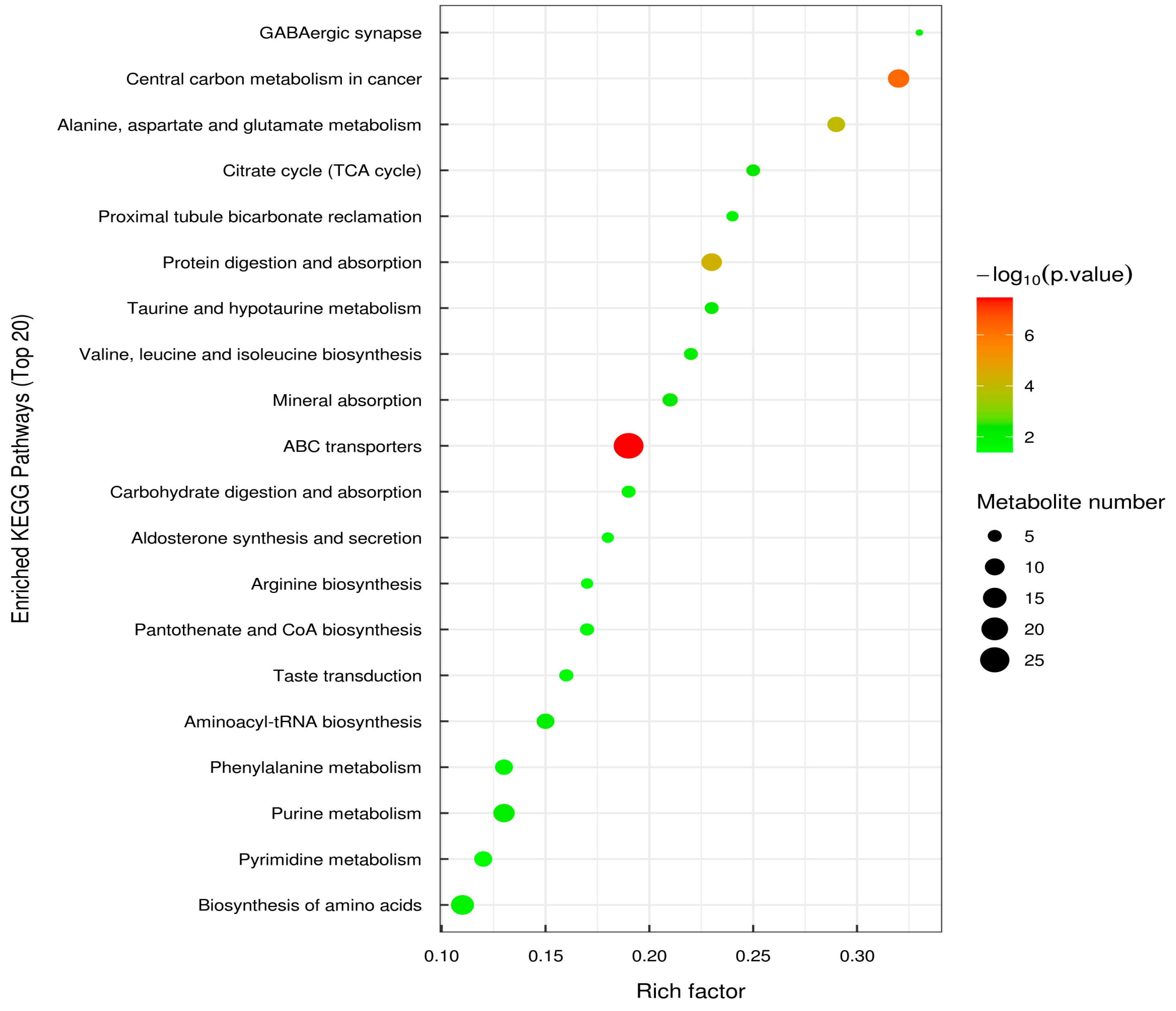 Microorganisms 13 00372 g009