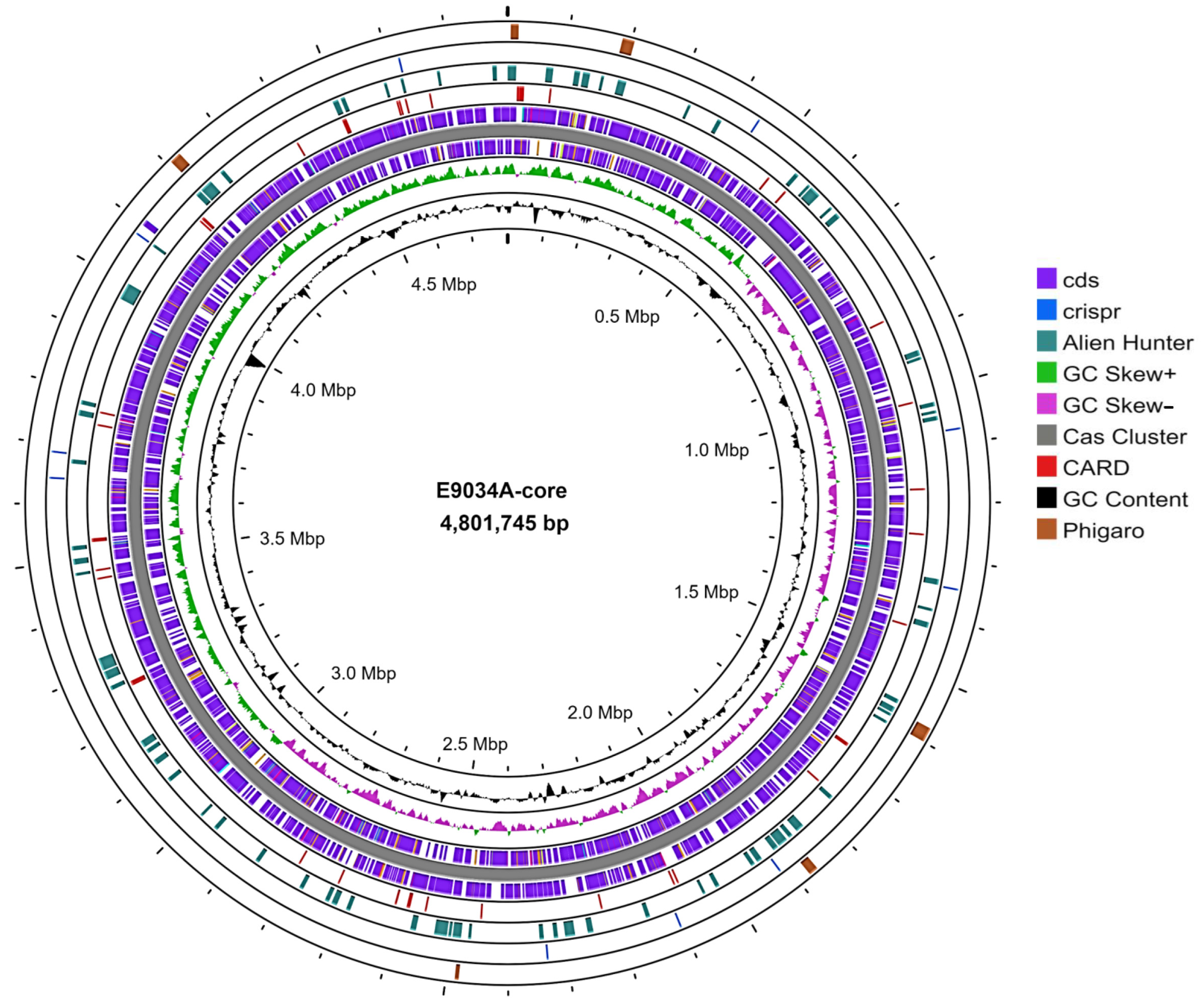 Microorganisms 13 00374 g001 Microorganisms 13 00374 g001