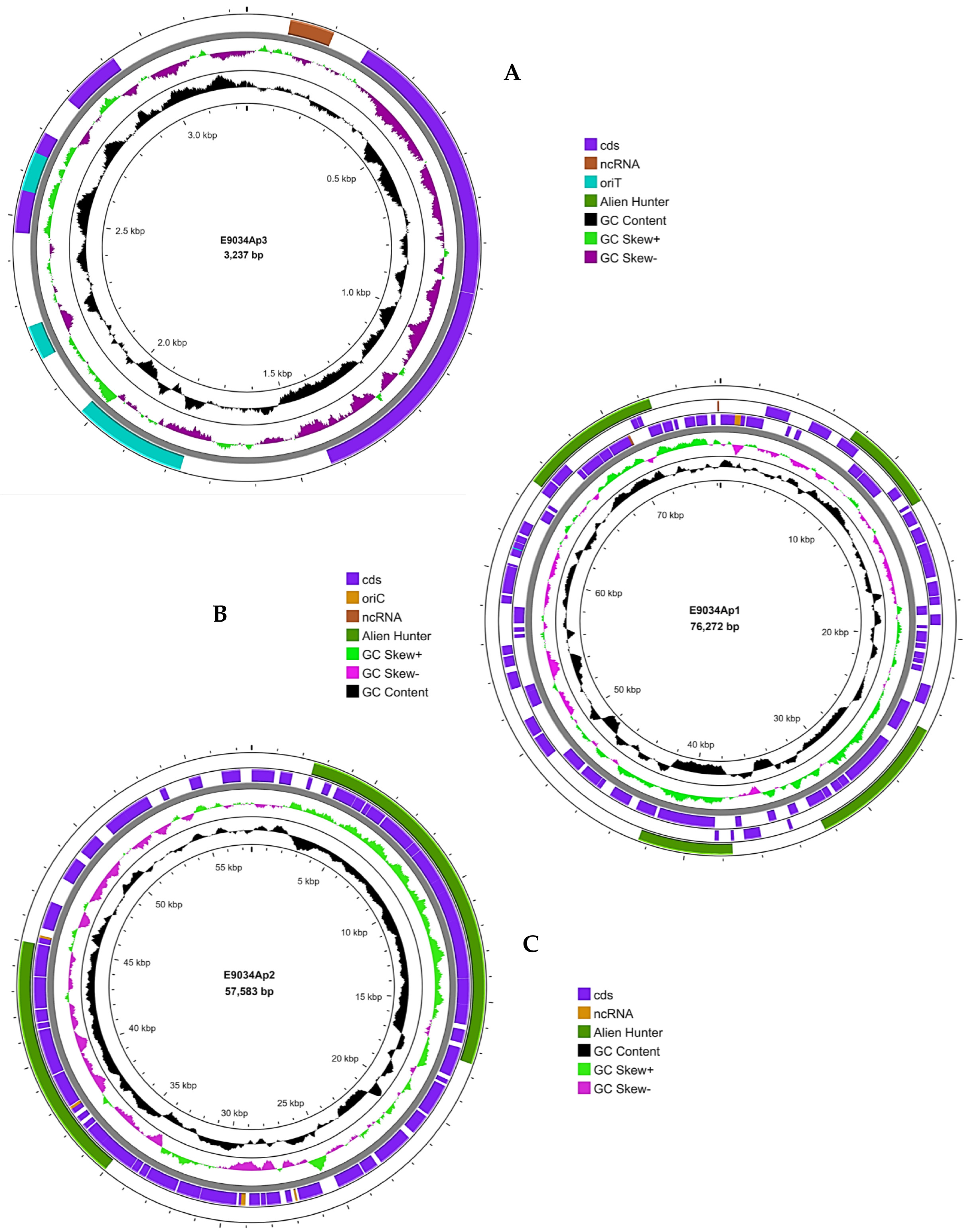 Microorganisms 13 00374 g002 Microorganisms 13 00374 g002