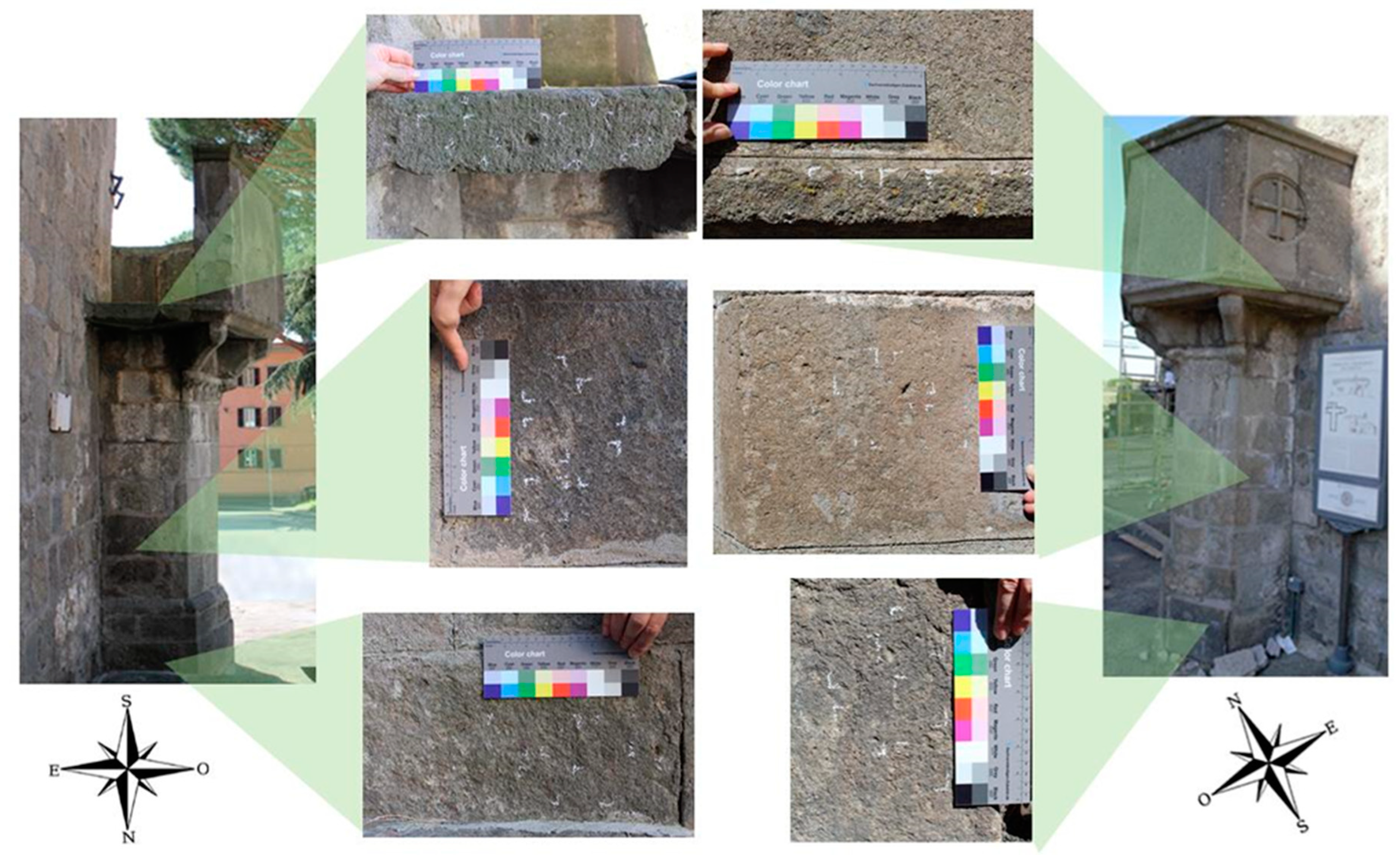 Microorganisms 13 00375 g002