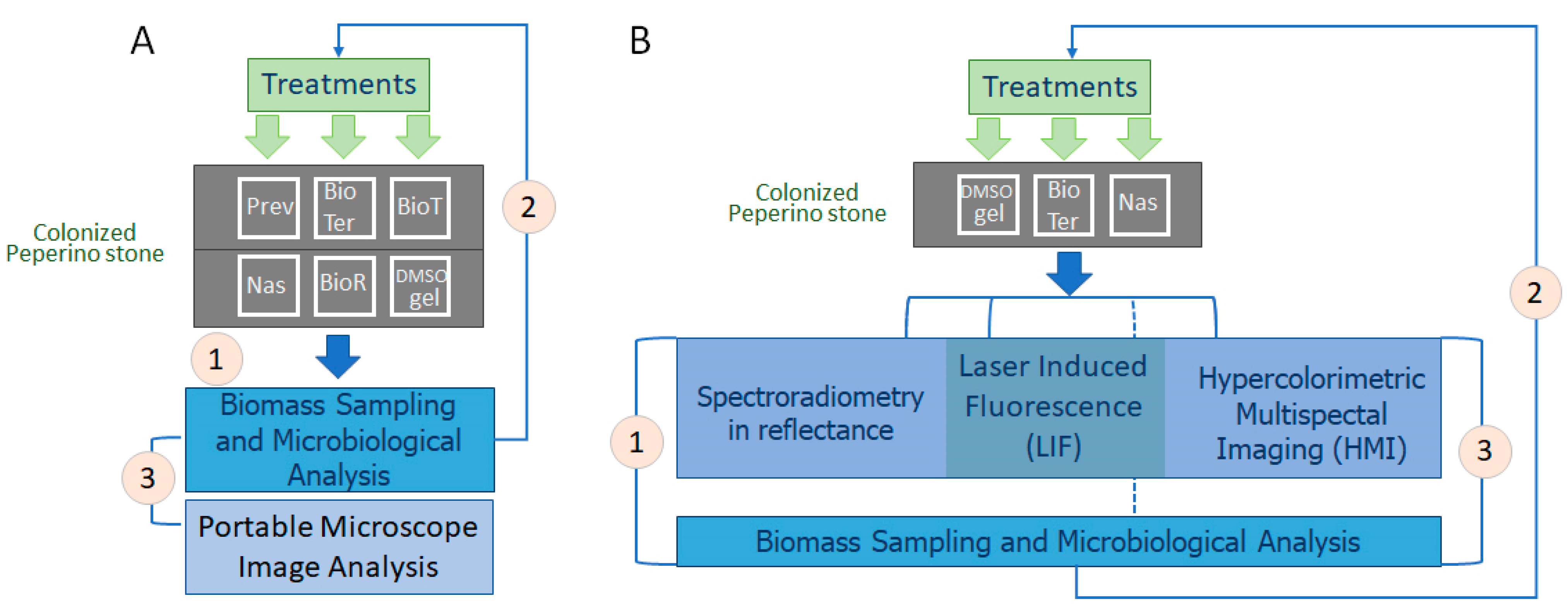 Microorganisms 13 00375 g003