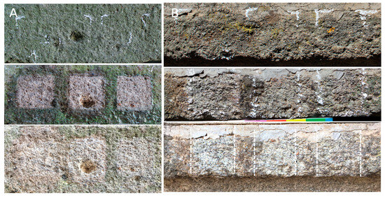 Microorganisms 13 00375 g008