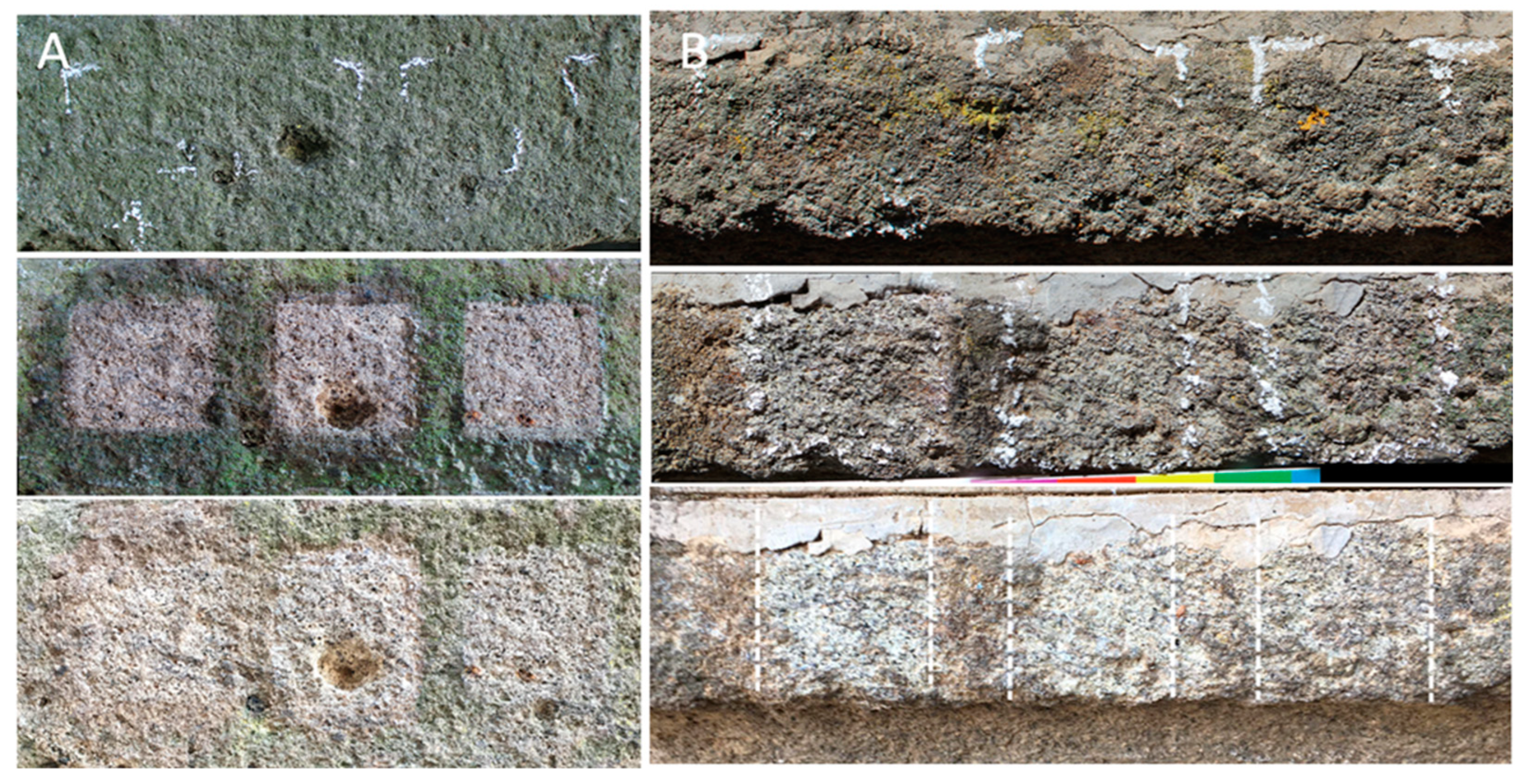 Microorganisms 13 00375 g008