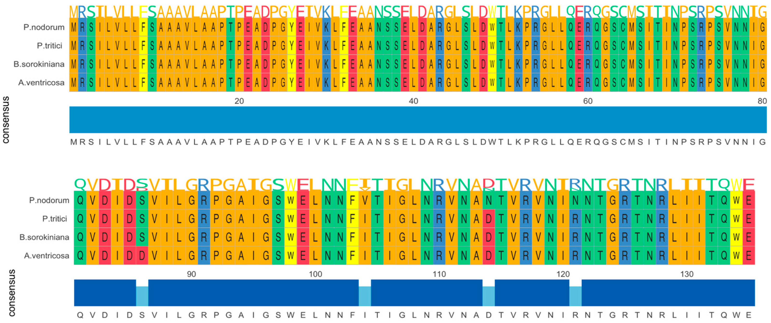 Microorganisms 13 00376 g001