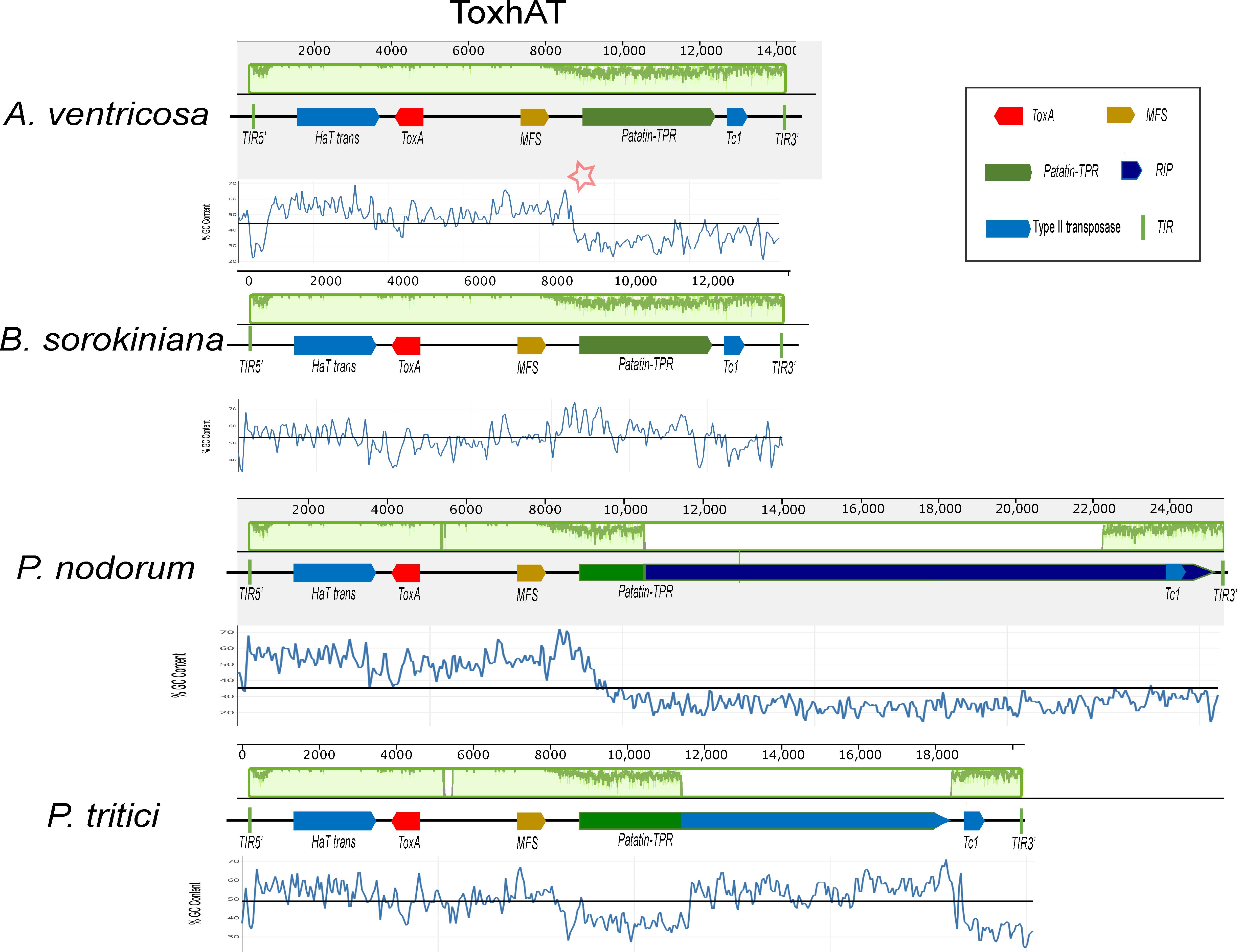 Microorganisms 13 00376 g002