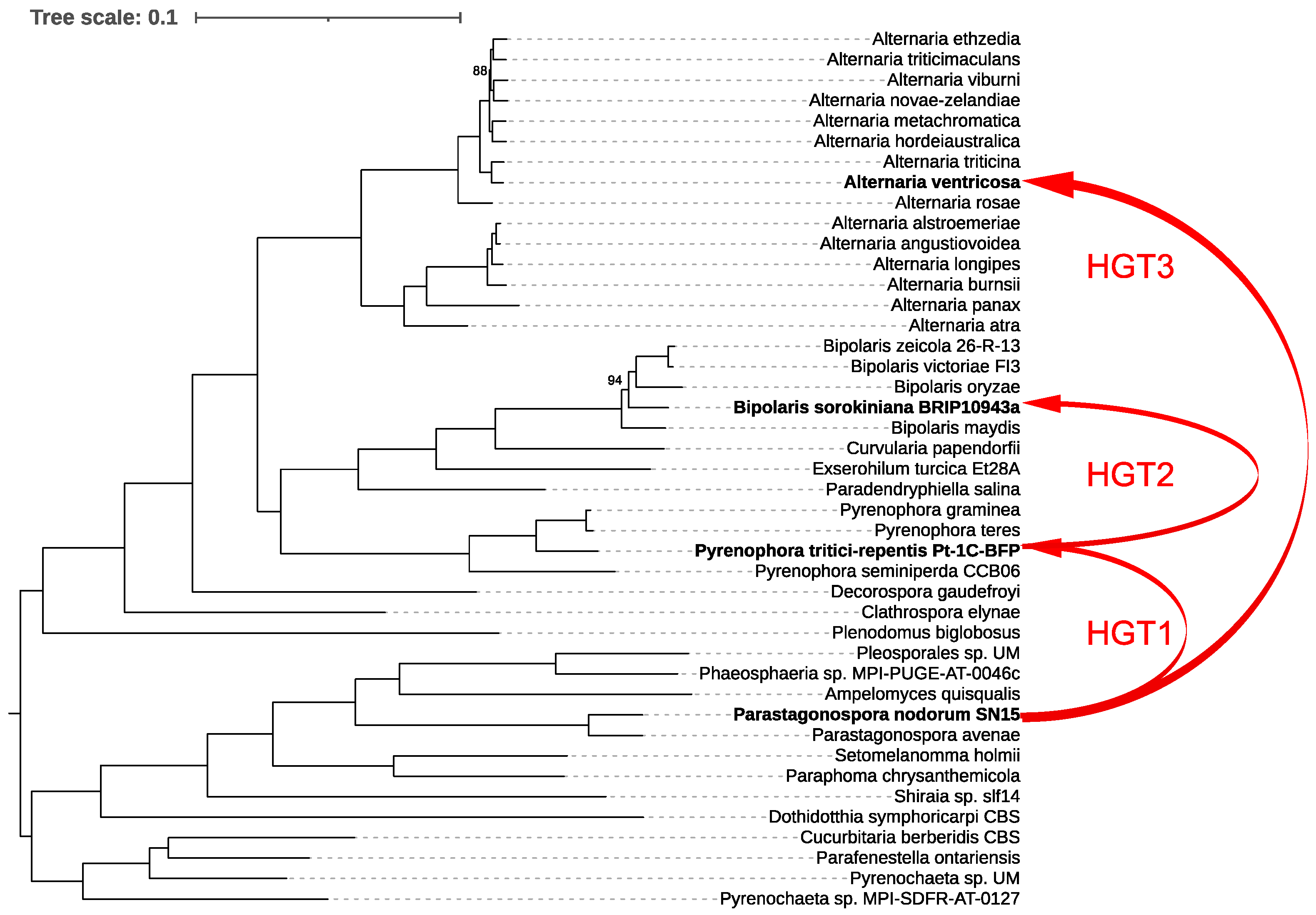 Microorganisms 13 00376 g004