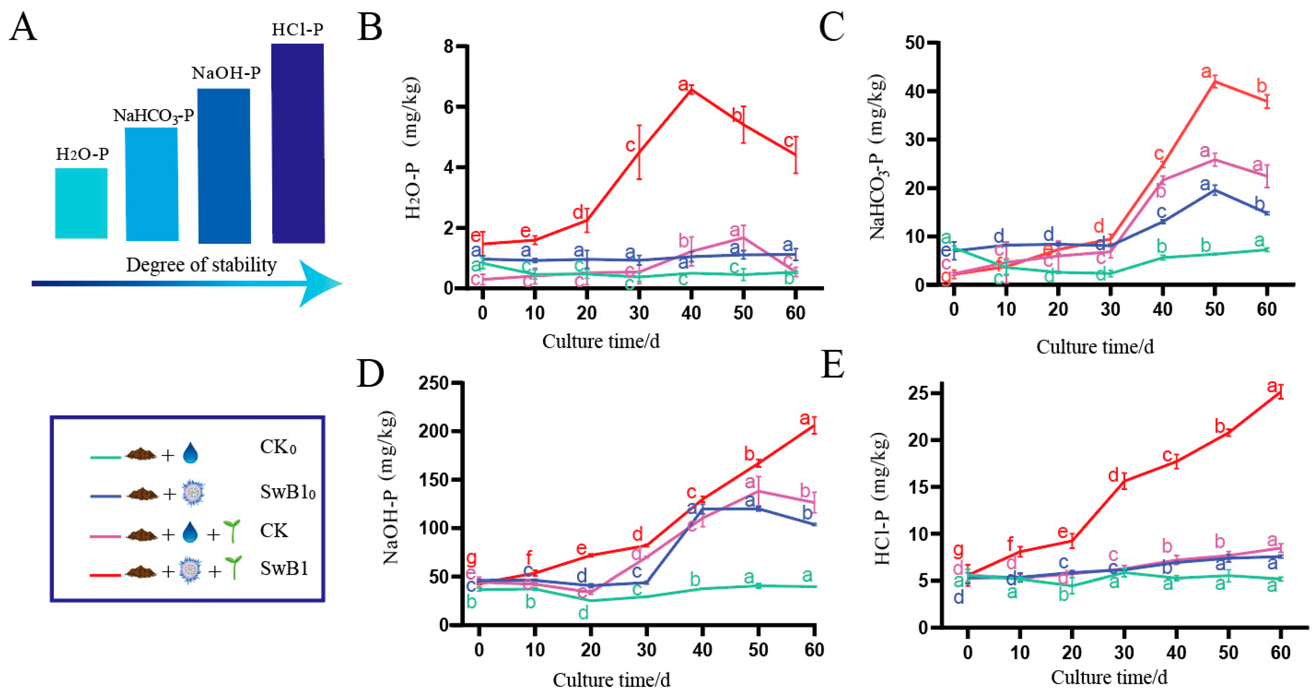 Microorganisms 13 00378 g001