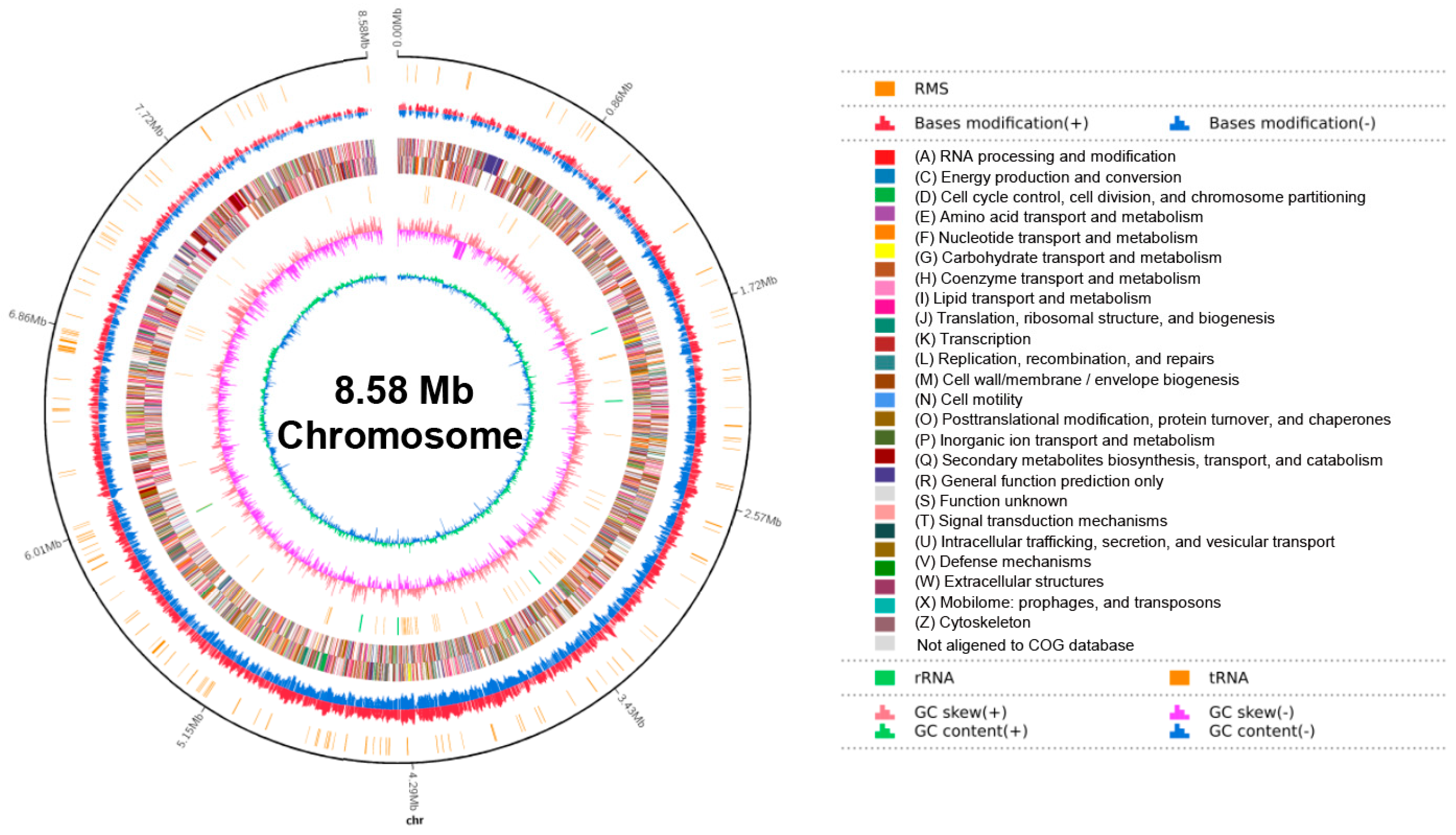 Microorganisms 13 00378 g002