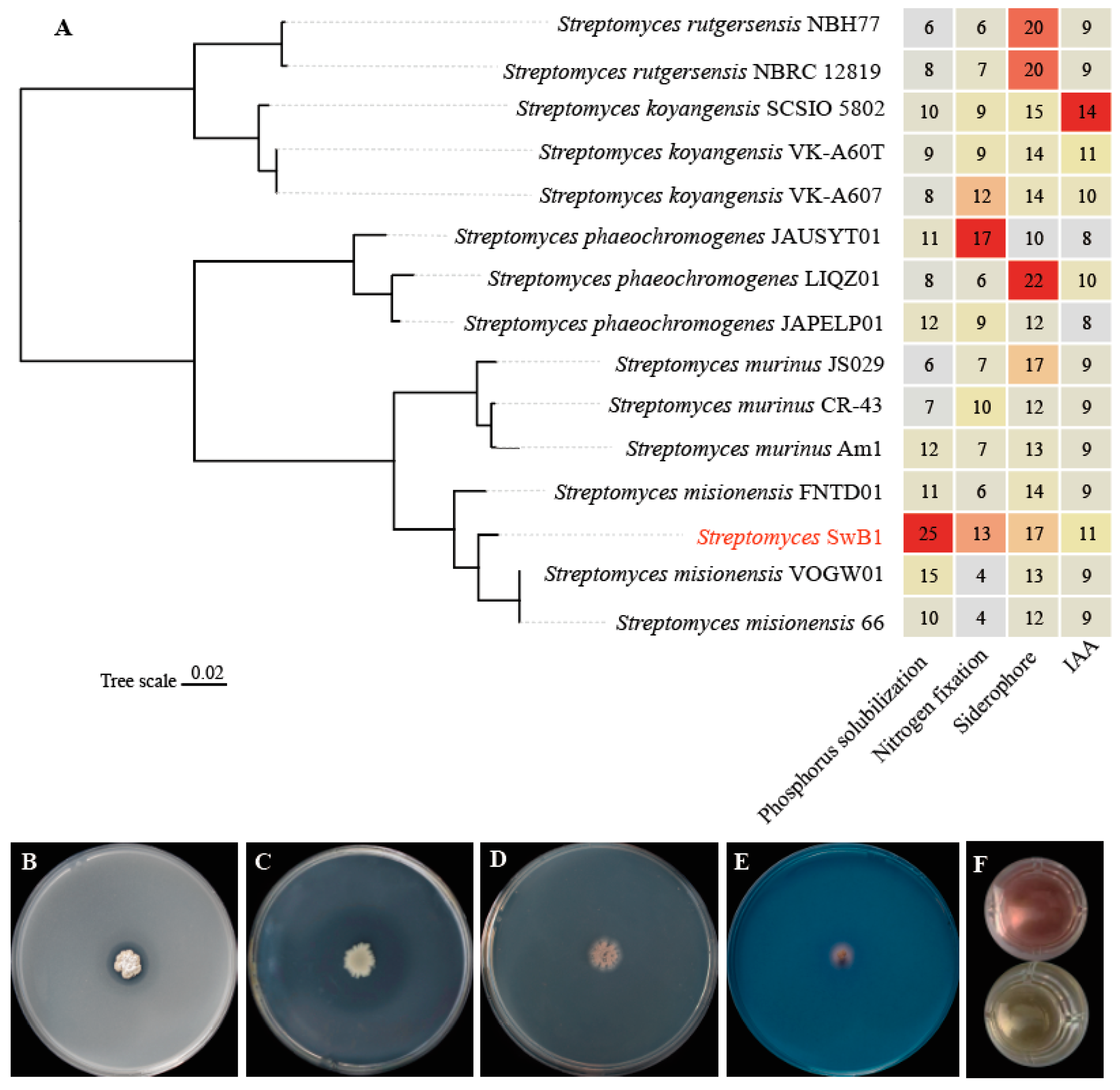 Microorganisms 13 00378 g004