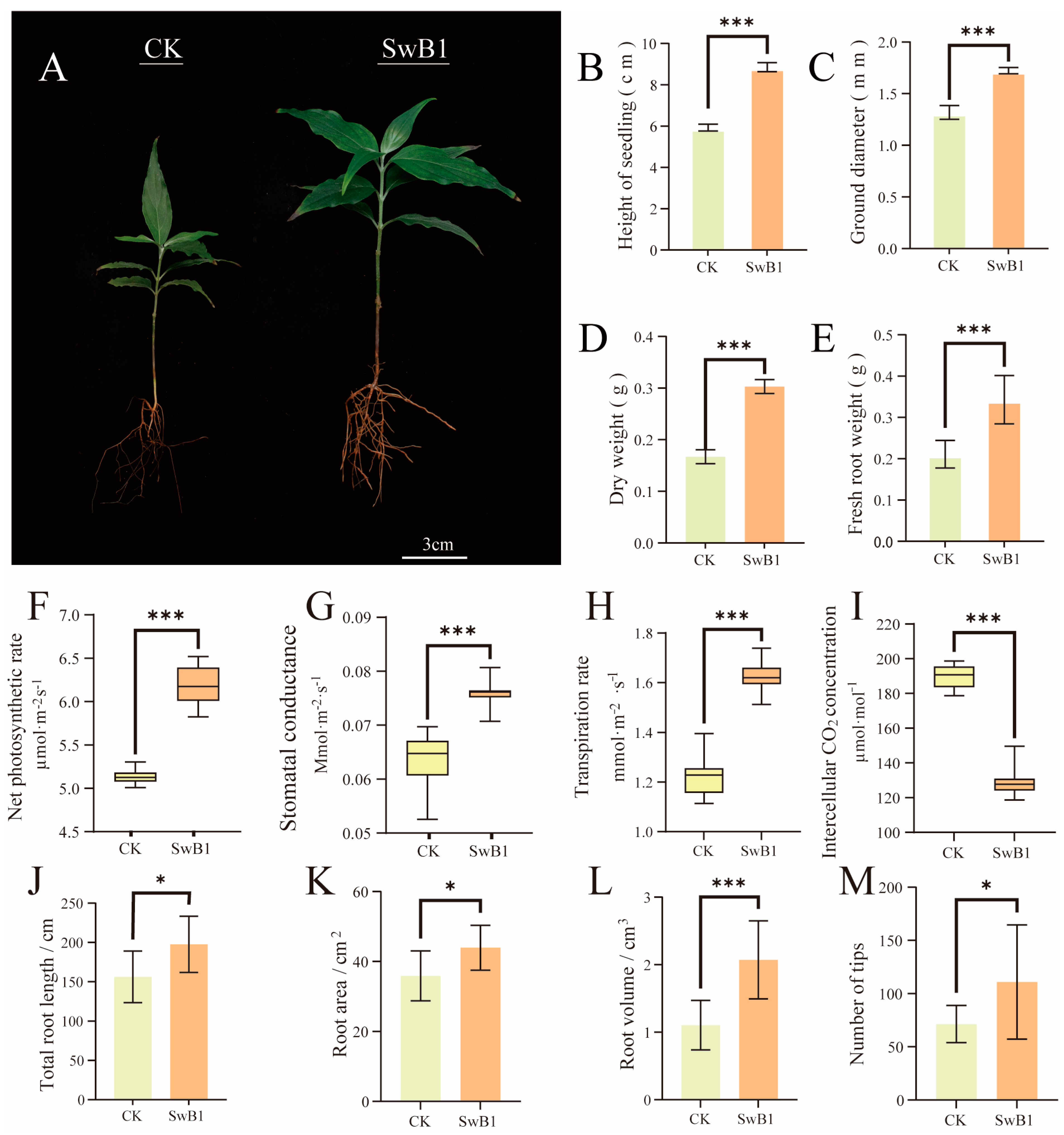 Microorganisms 13 00378 g006