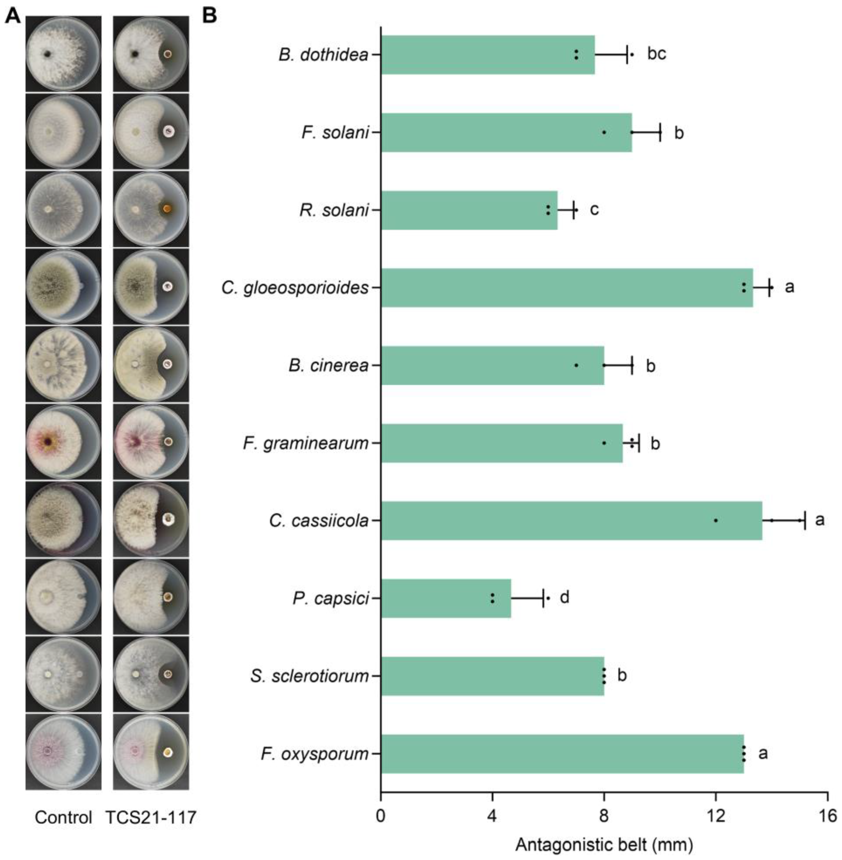 Microorganisms 13 00379 g003