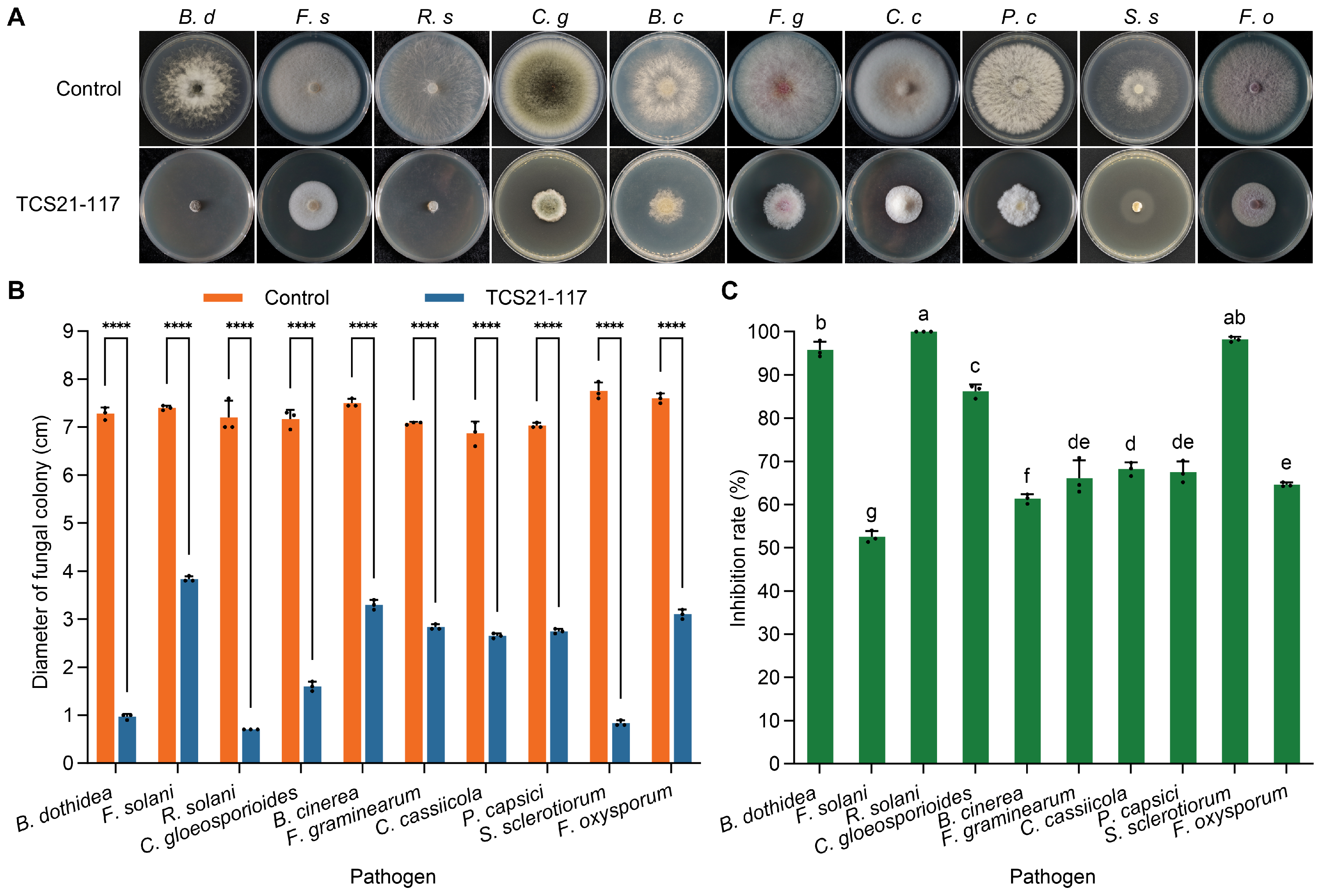 Microorganisms 13 00379 g004