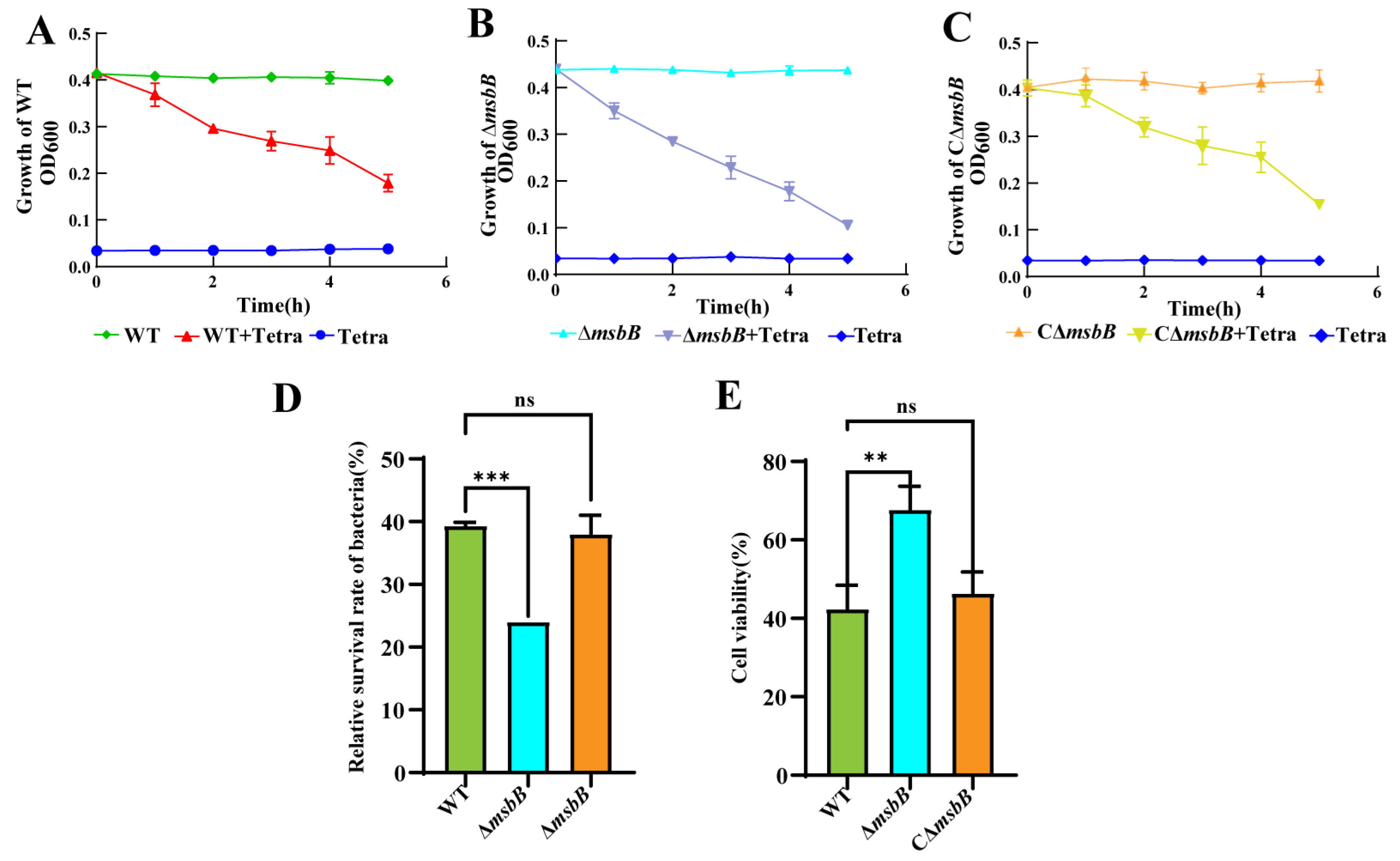 Microorganisms 13 00386 g004