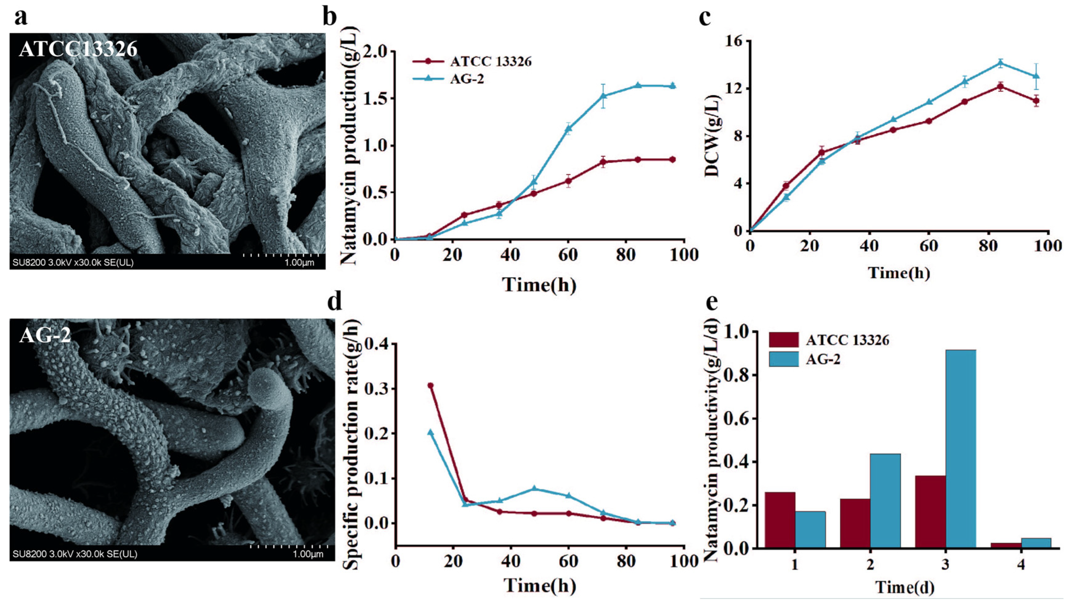 Microorganisms 13 00390 g004