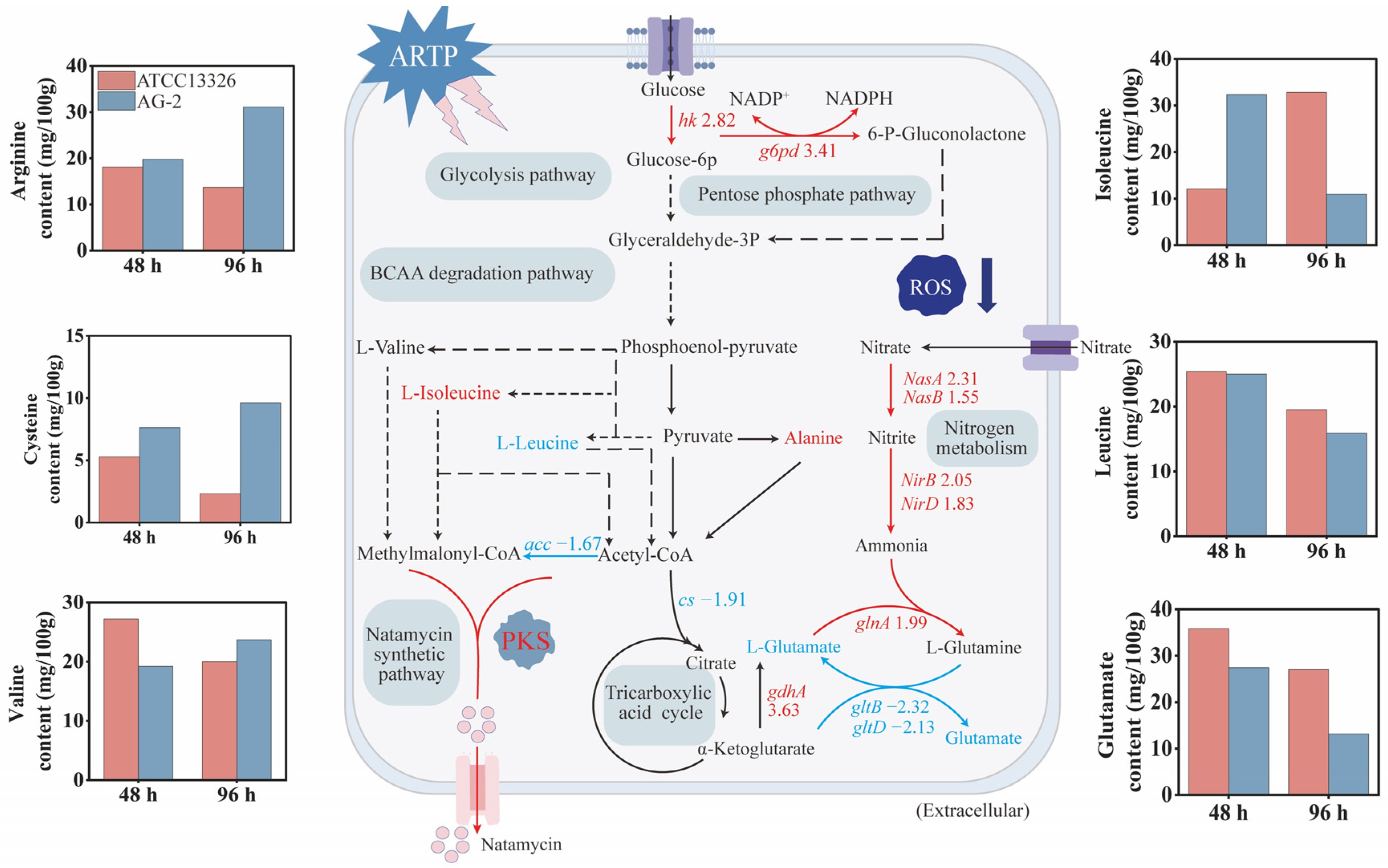 Microorganisms 13 00390 g005